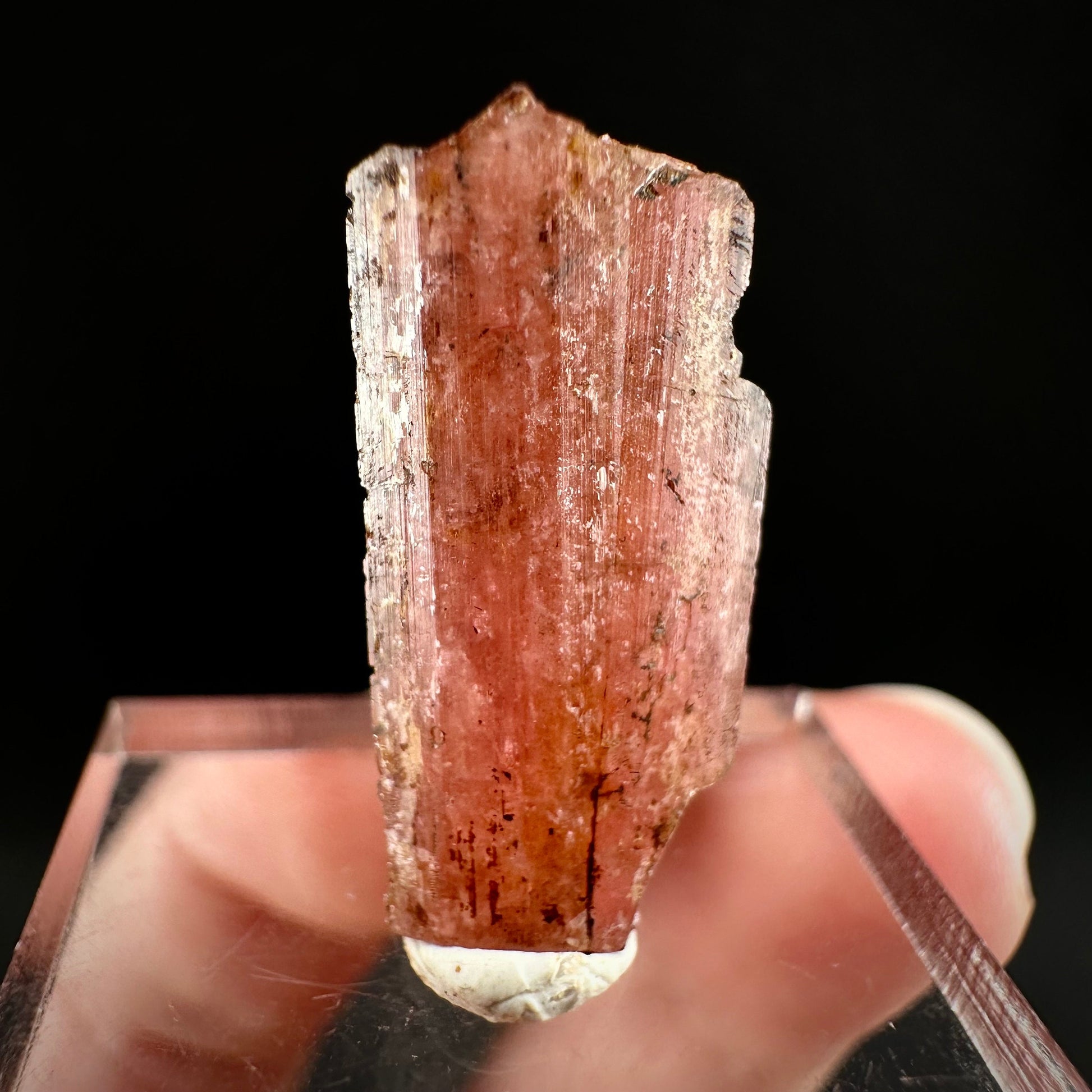 Rare! Vayrynenite (Pakistan) | vayrynenite crystal, rare crystals, mineral specimen, rare minerals, natural vayrynenite