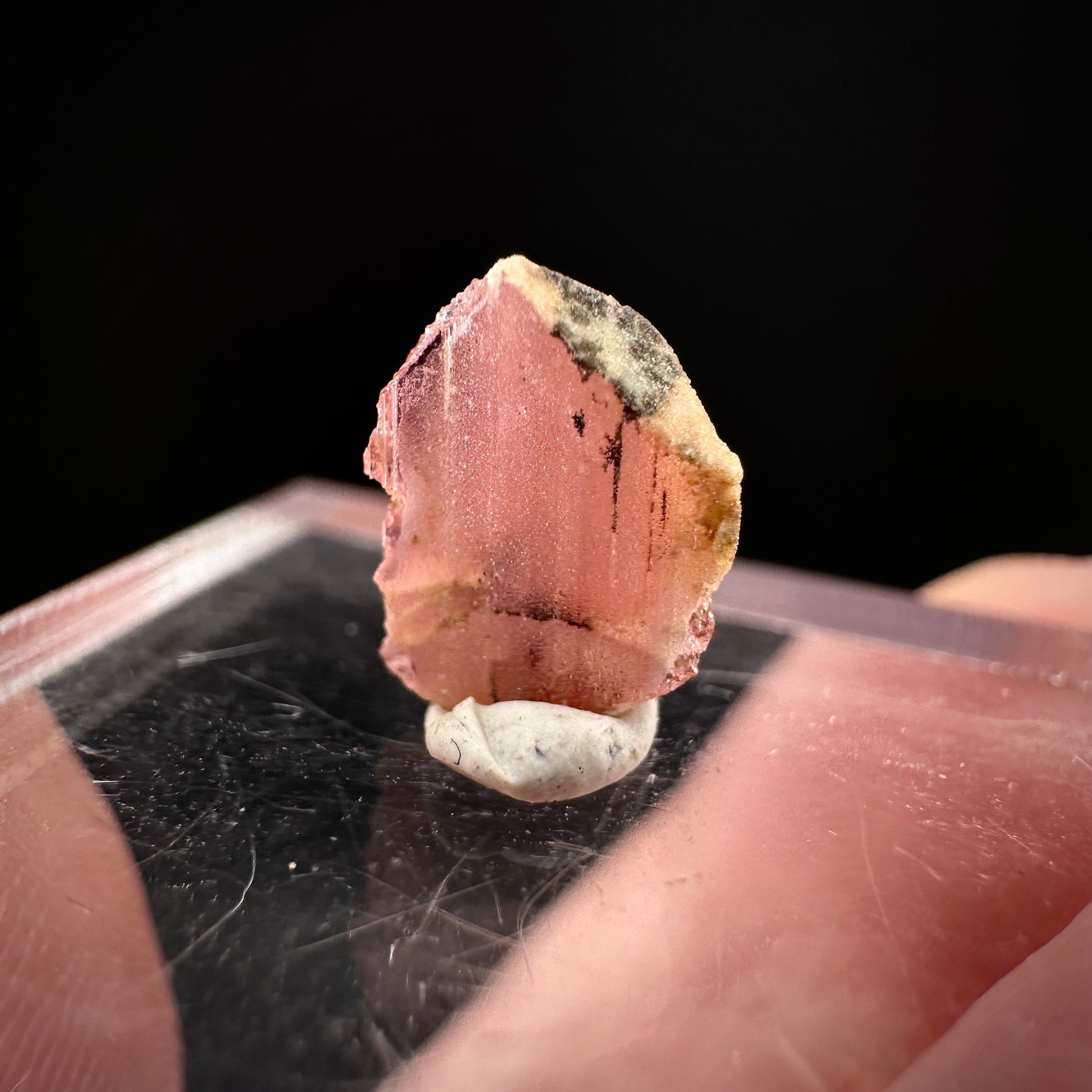 Rare! Vayrynenite (Pakistan) | vayrynenite crystal, rare crystals, mineral specimen, rare minerals, natural vayrynenite