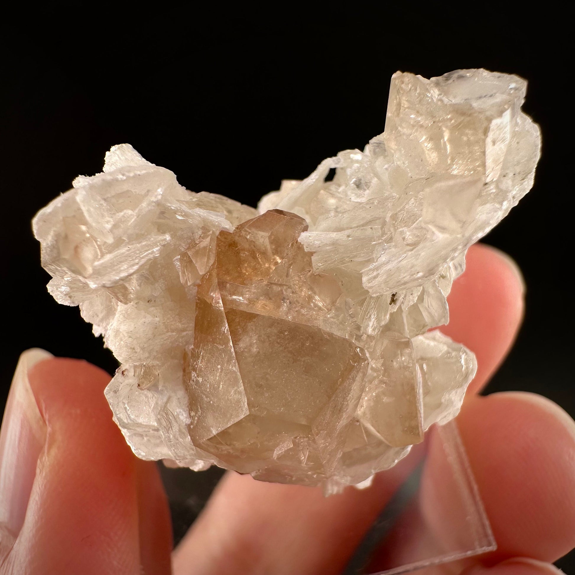 Champagne Topaz on Albite Matrix (Pakistan) | topaz crystal, rare crystals, mineral specimen, rare minerals, natural topaz, golden topaz