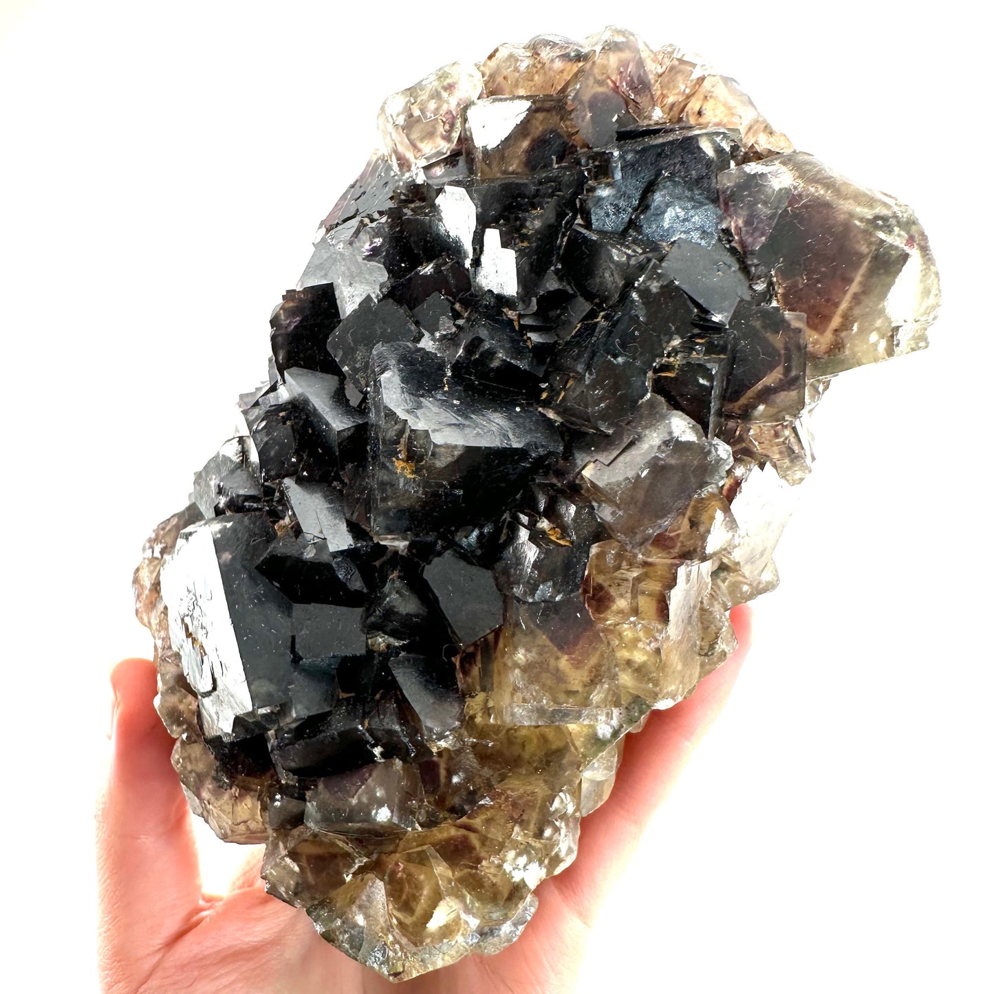 Okorusu Fluorite (Namibia) | fluorite cluster, cubic fluorite, purple fluorite, yellow fluorite, crystals, mineral specimen