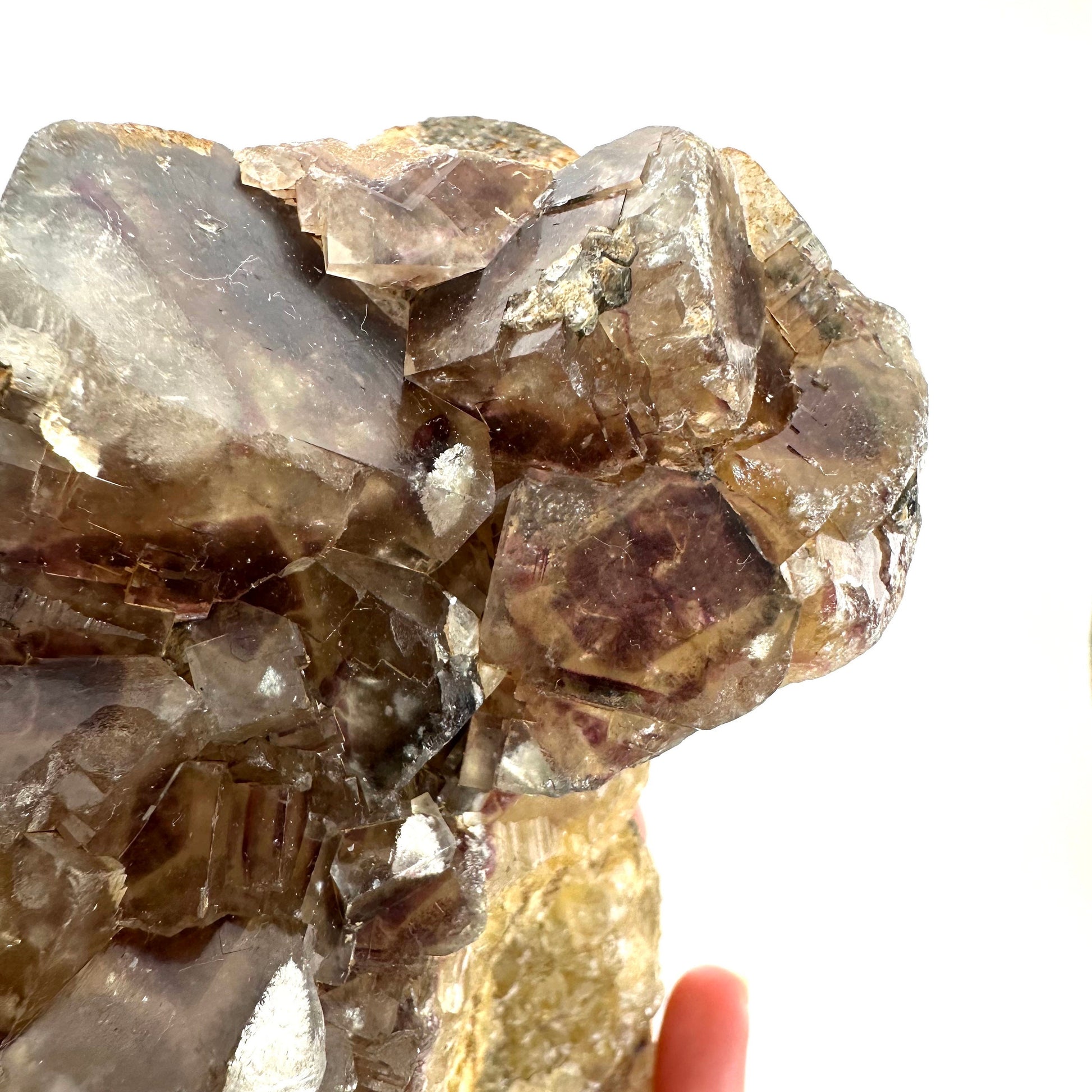 Okorusu Fluorite (Namibia) | fluorite cluster, cubic fluorite, purple fluorite, yellow fluorite, crystals, mineral specimen