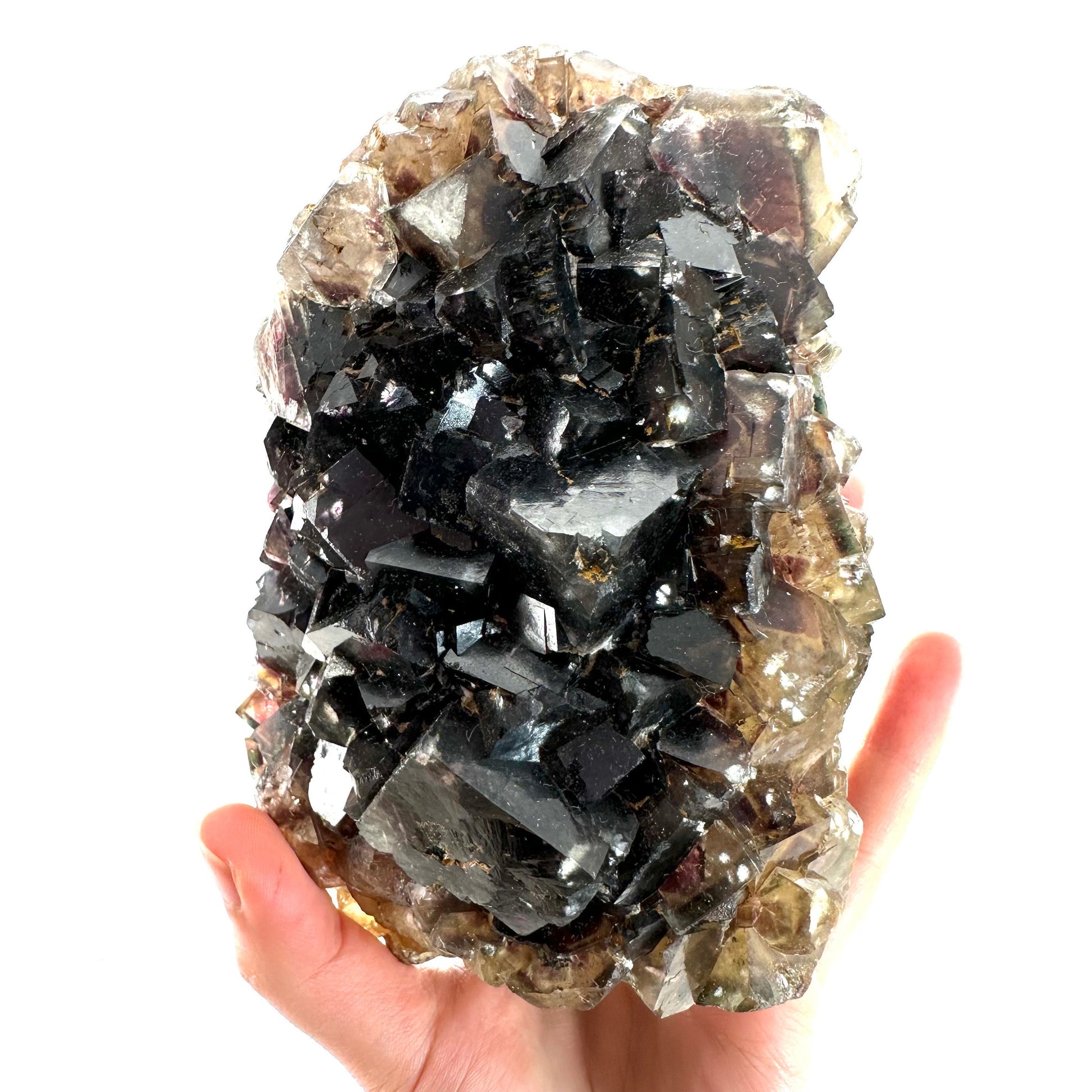 Okorusu Fluorite (Namibia) | fluorite cluster, cubic fluorite, purple fluorite, yellow fluorite, crystals, mineral specimen