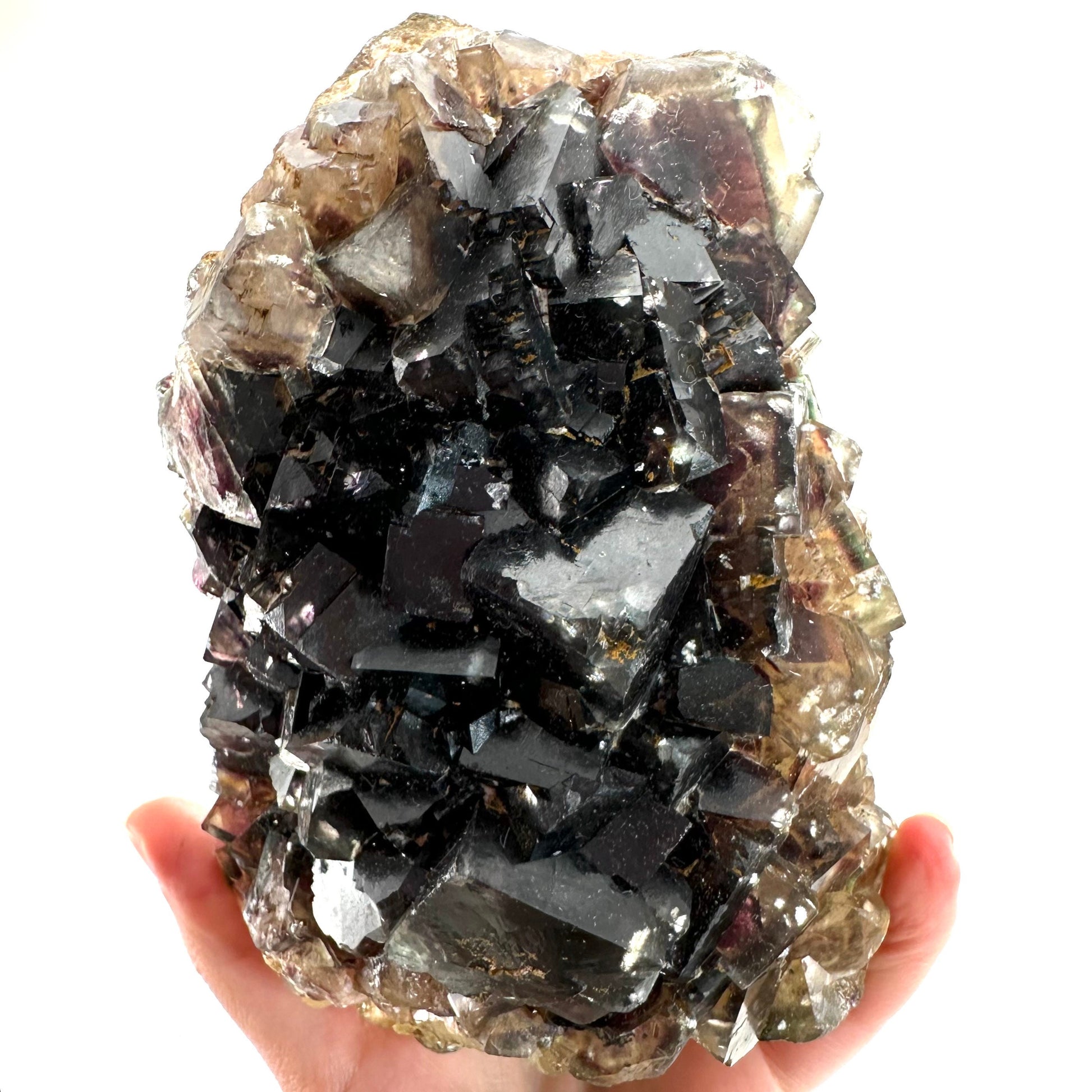 Okorusu Fluorite (Namibia) | fluorite cluster, cubic fluorite, purple fluorite, yellow fluorite, crystals, mineral specimen