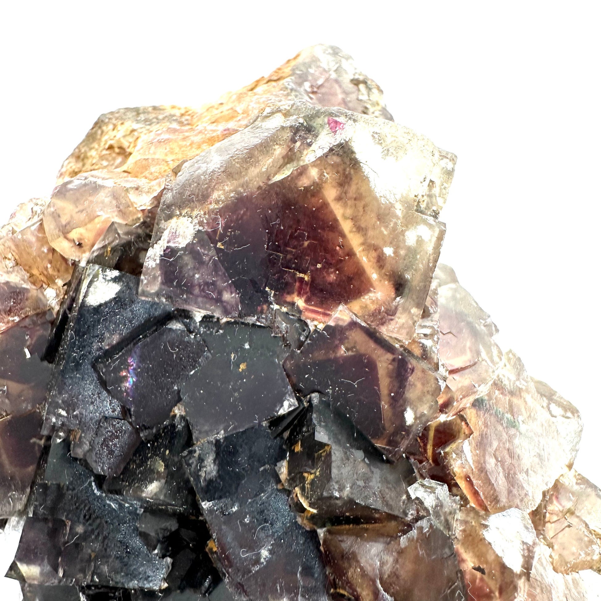 Okorusu Fluorite (Namibia) | fluorite cluster, cubic fluorite, purple fluorite, yellow fluorite, crystals, mineral specimen