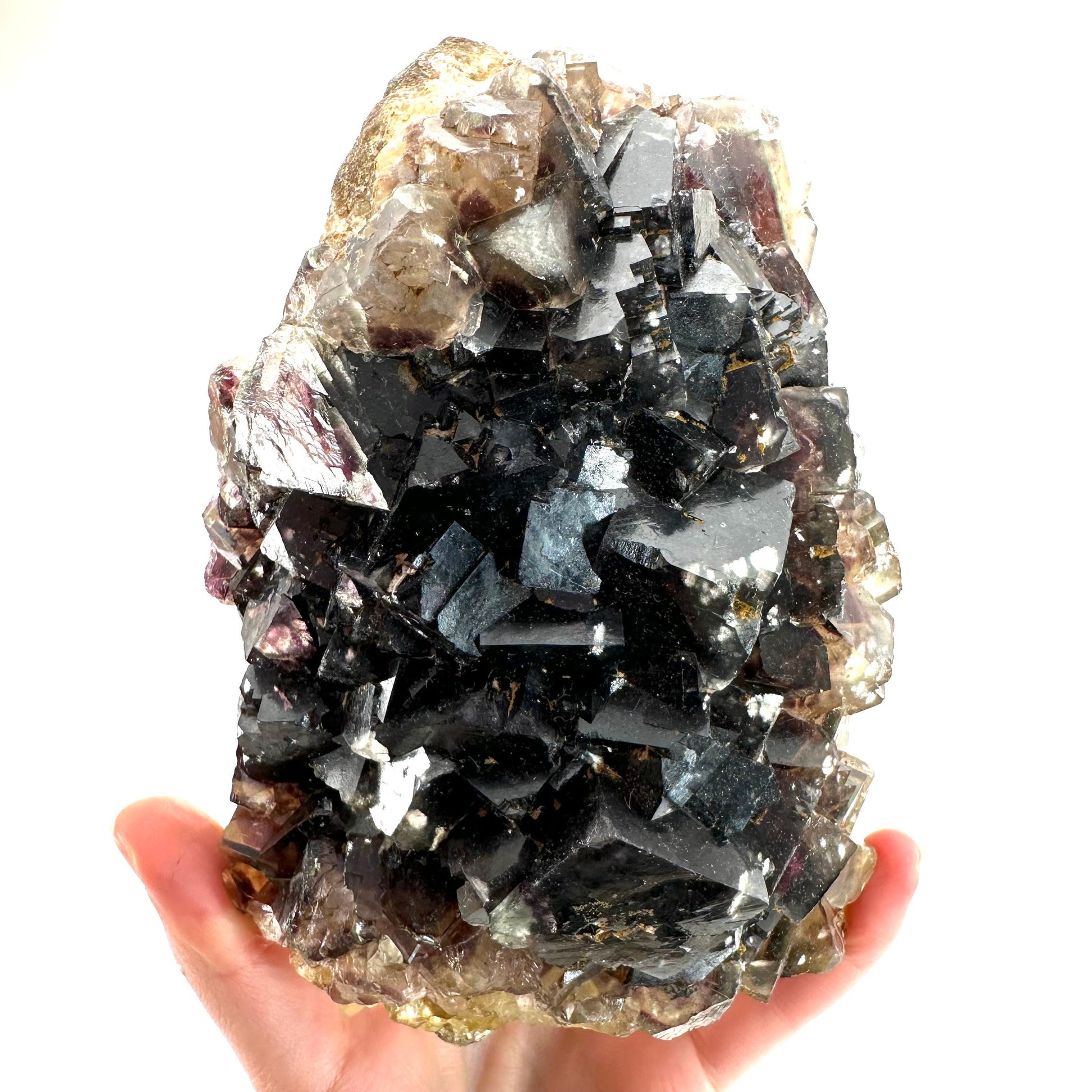Okorusu Fluorite (Namibia) | fluorite cluster, cubic fluorite, purple fluorite, yellow fluorite, crystals, mineral specimen