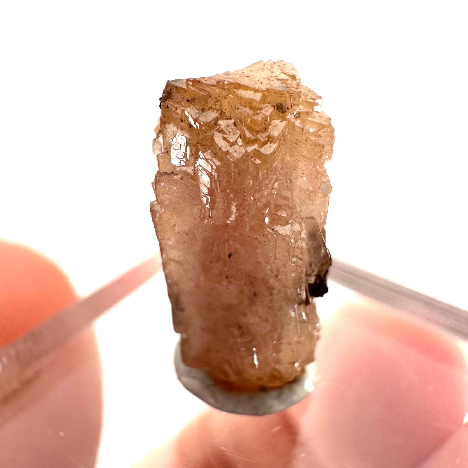 Olmiite (South Africa) | olmiite crystal, rare crystals, rare minerals, mineral specimen, crystals