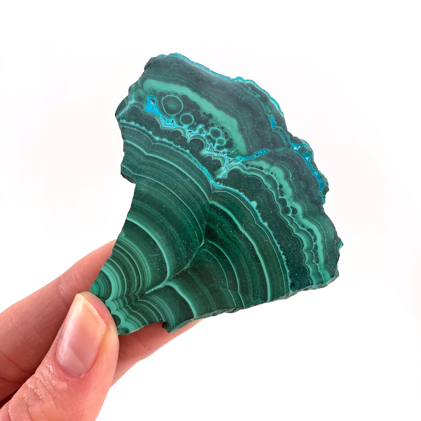 Malachite & Chrysocolla Slice (Congo), natural malachite, malachite slice, malachite slab, malacolla slice, polished malachite