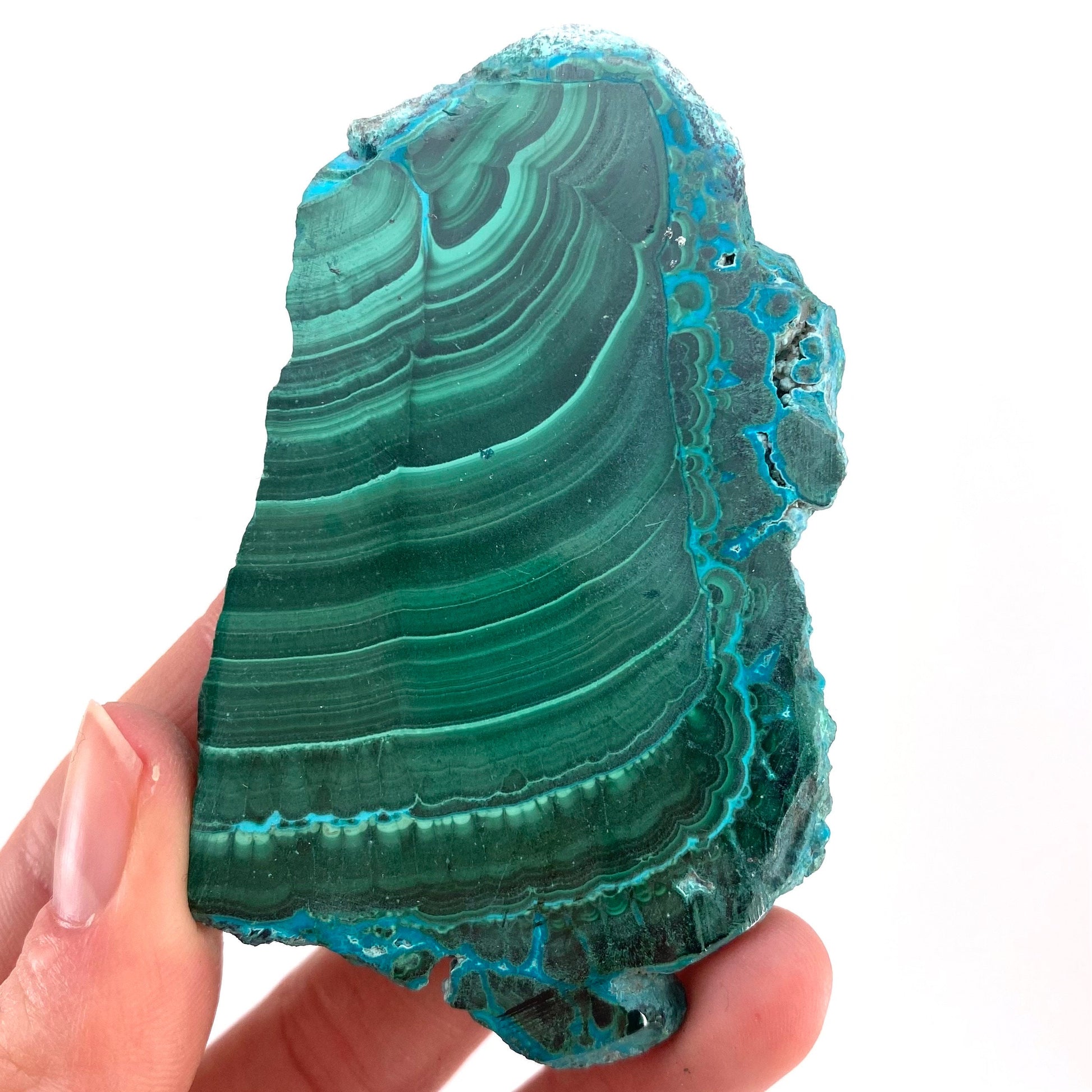 Malachite & Chrysocolla Slice (Congo), natural malachite, malachite slice, malachite slab, malacolla slice, polished malachite