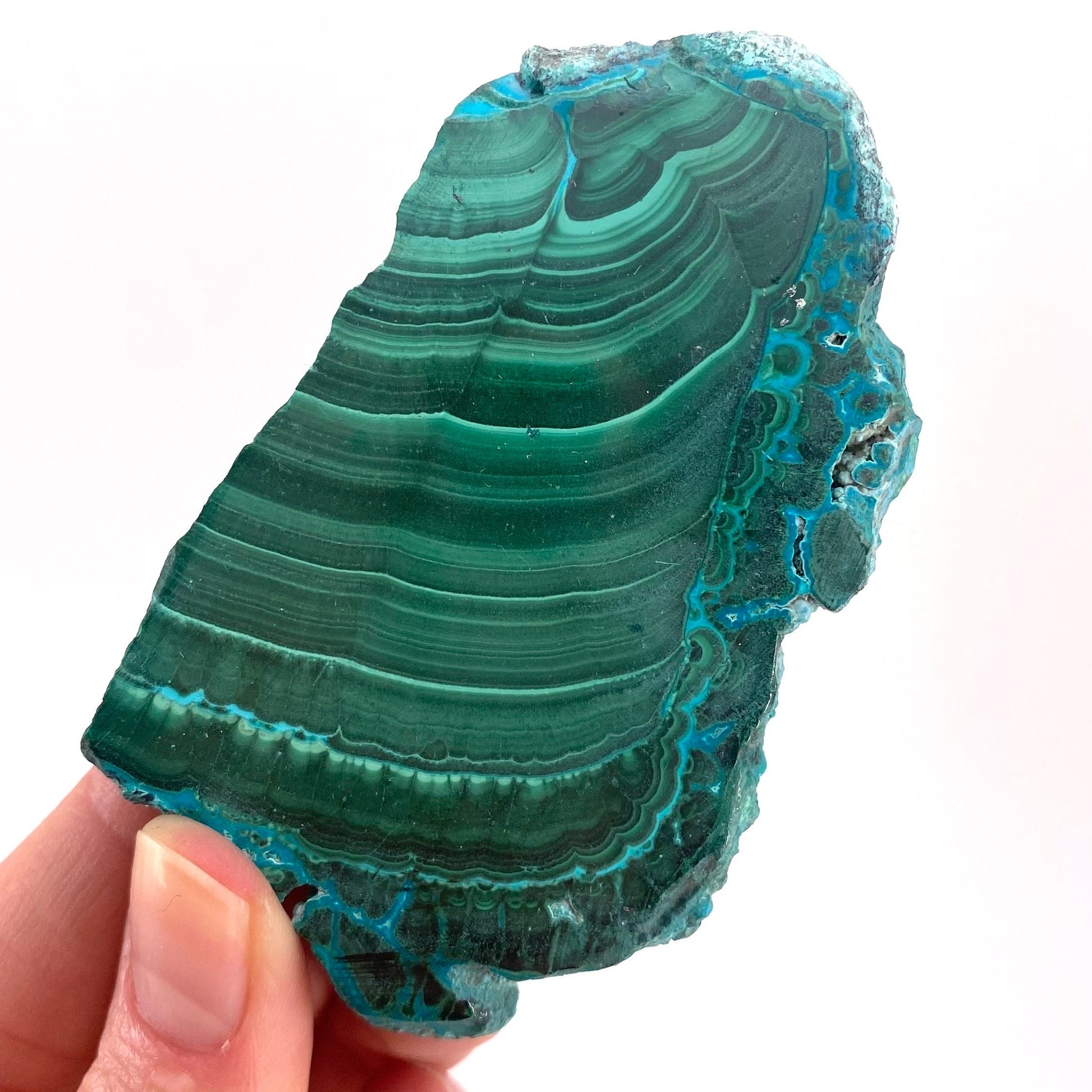 Malachite & Chrysocolla Slice (Congo), natural malachite, malachite slice, malachite slab, malacolla slice, polished malachite
