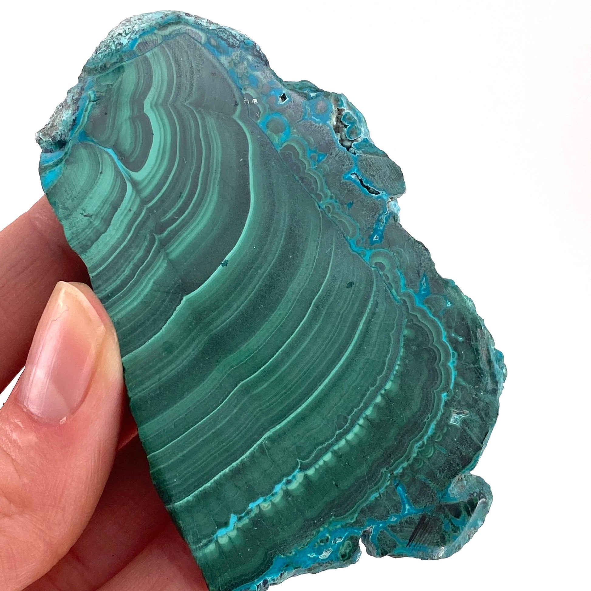 Malachite & Chrysocolla Slice (Congo), natural malachite, malachite slice, malachite slab, malacolla slice, polished malachite