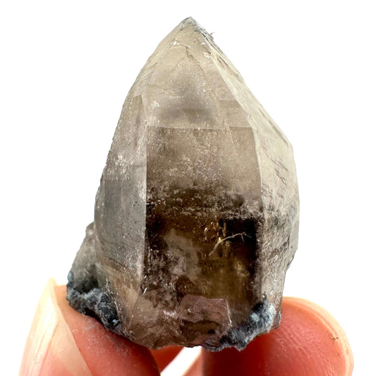 Foitite on Smoky Quartz (Namibia) | smoky quartz crystal, smoky quartz point, quartz crystal, crystals