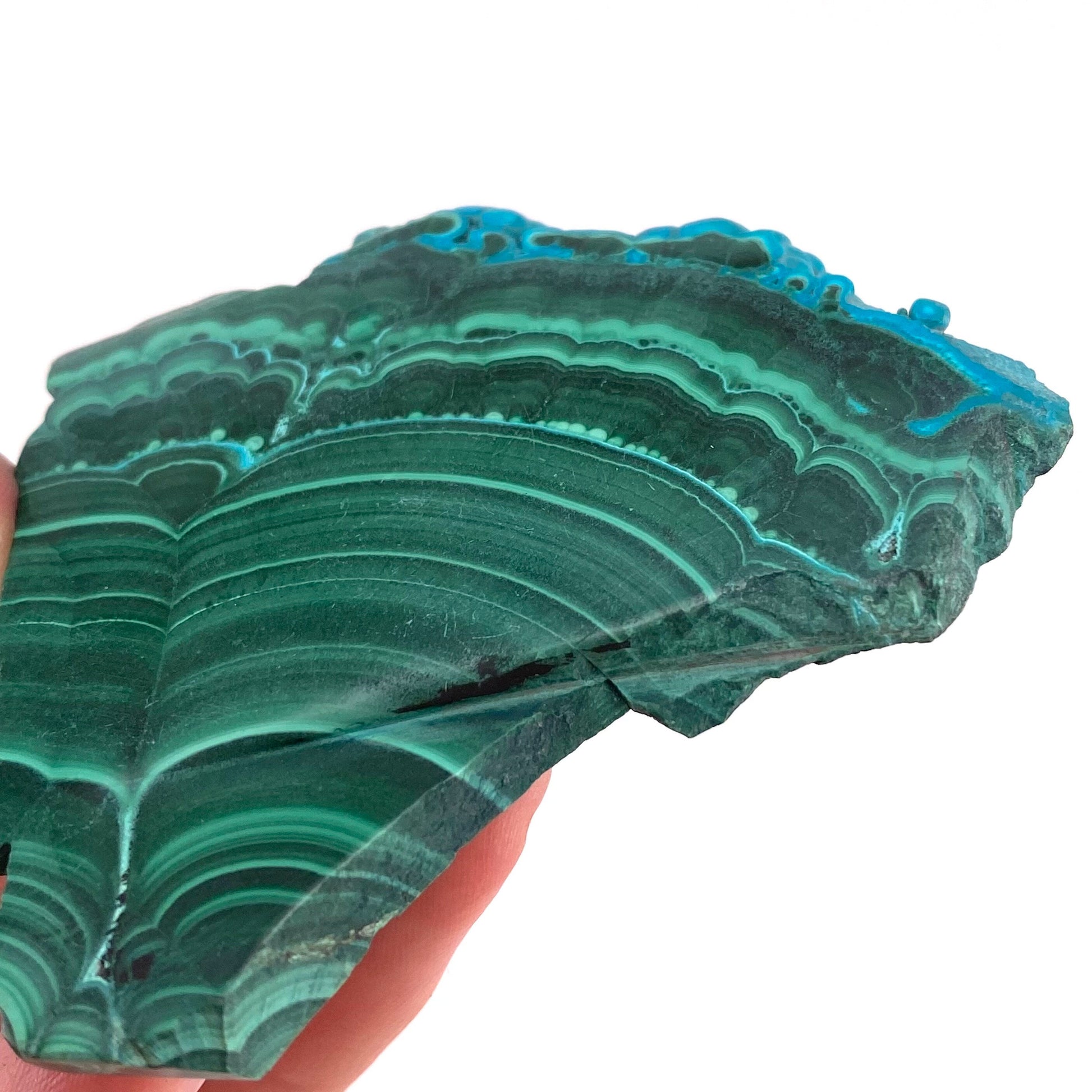 Malachite & Chrysocolla Slice (Congo), natural malachite, malachite slice, malachite slab, malacolla slice, polished malachite