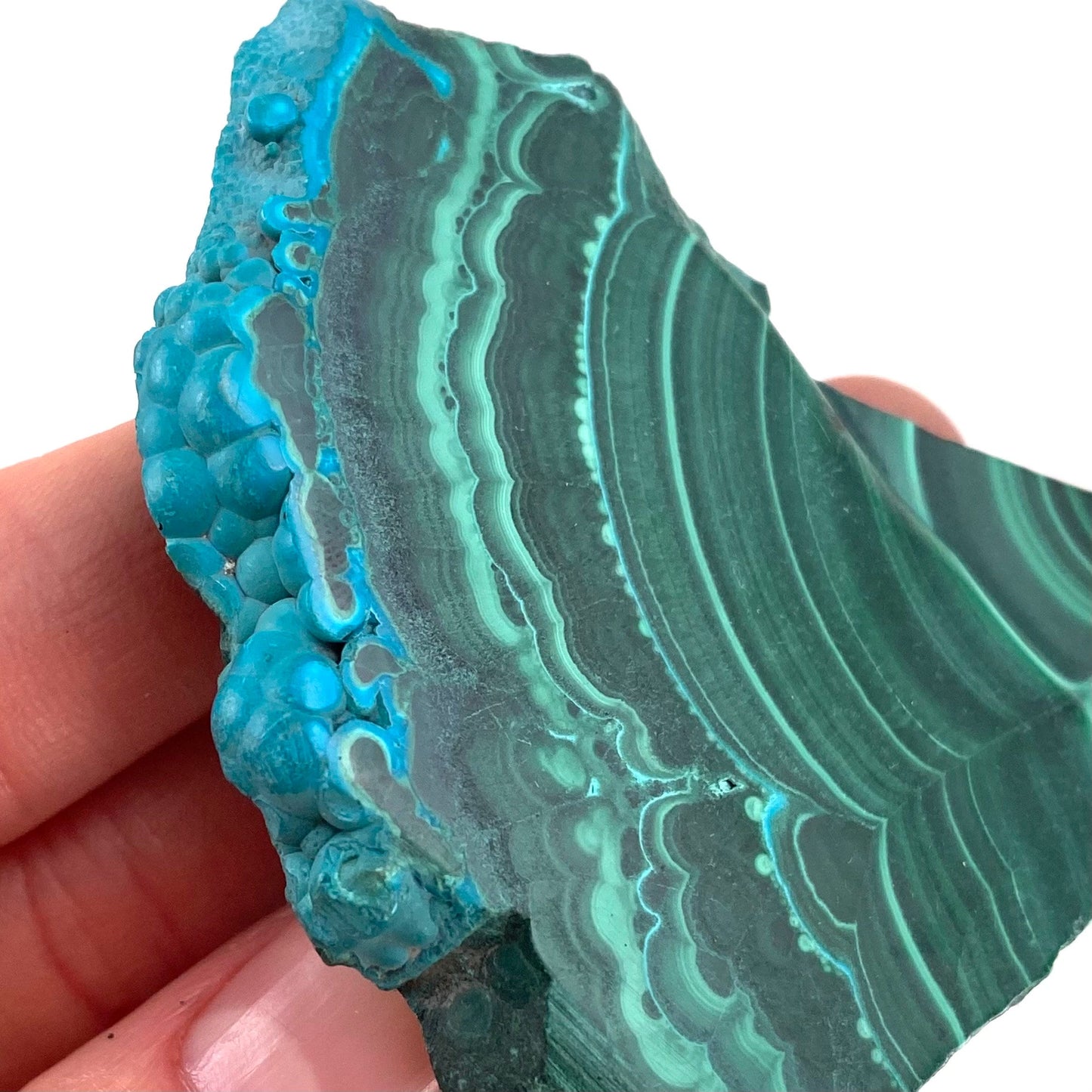 Malachite & Chrysocolla Slice (Congo), natural malachite, malachite slice, malachite slab, malacolla slice, polished malachite