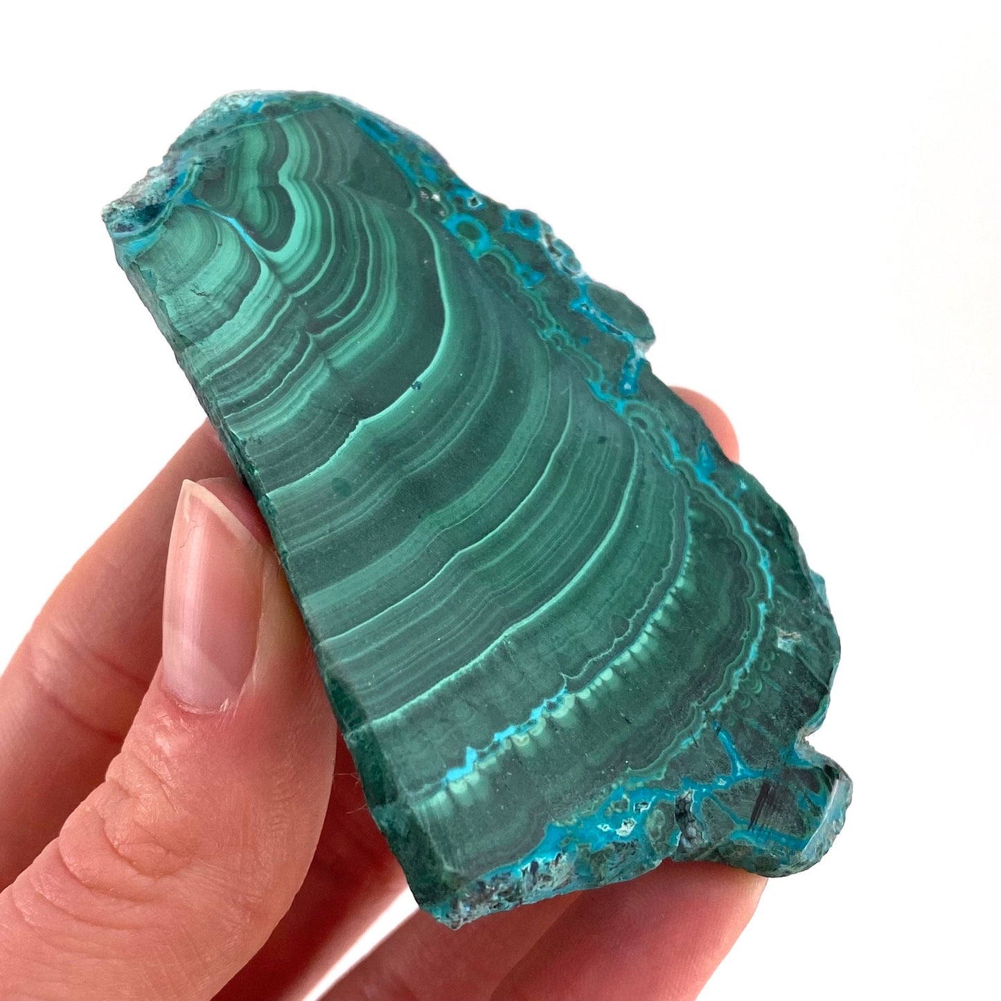 Malachite & Chrysocolla Slice (Congo), natural malachite, malachite slice, malachite slab, malacolla slice, polished malachite
