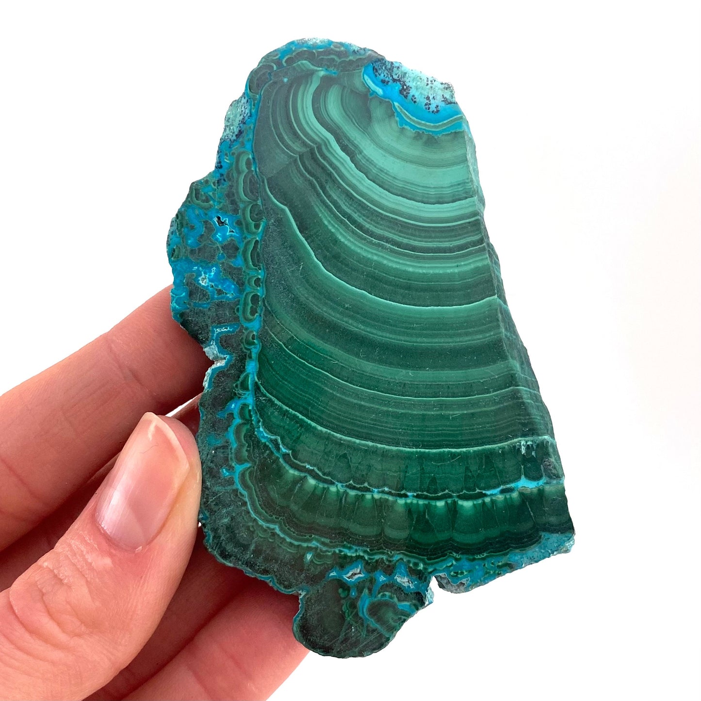 Malachite & Chrysocolla Slice (Congo), natural malachite, malachite slice, malachite slab, malacolla slice, polished malachite