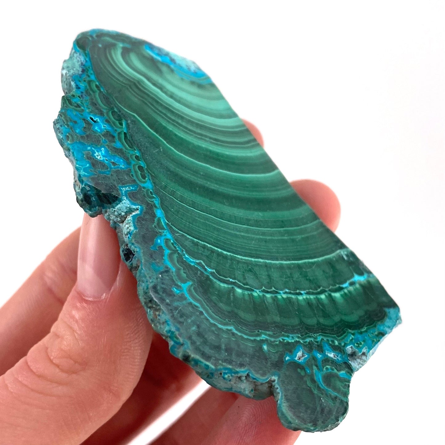Malachite & Chrysocolla Slice (Congo), natural malachite, malachite slice, malachite slab, malacolla slice, polished malachite