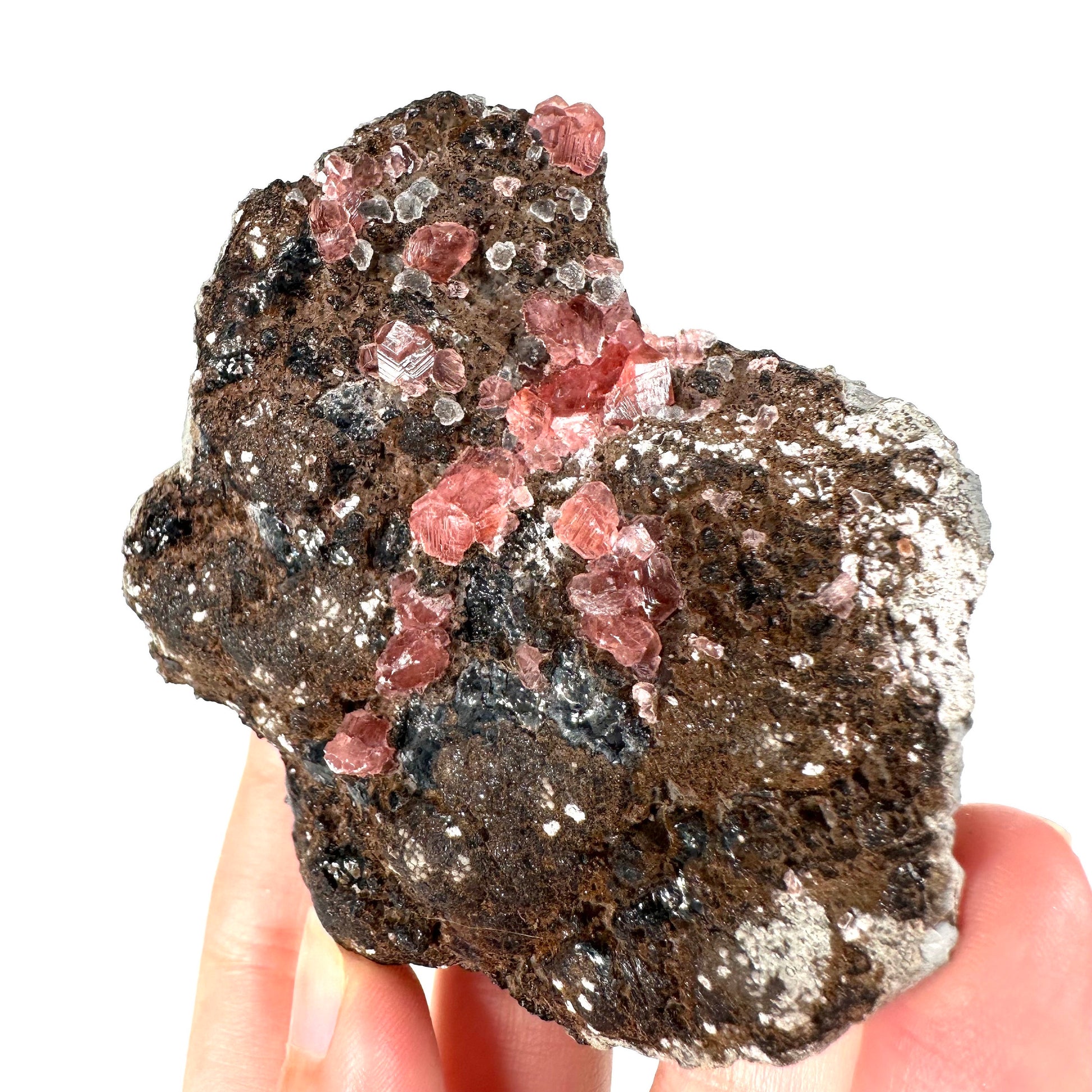 Rhodochrosite on Matrix (Peru) | rhodochrosite crystal, rare crystals, mineral specimen, rare minerals, natural rhodochrosite