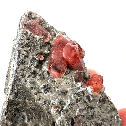 Rhodochrosite on Matrix (Peru) | rhodochrosite crystal, rare crystals, mineral specimen, rare minerals, natural rhodochrosite
