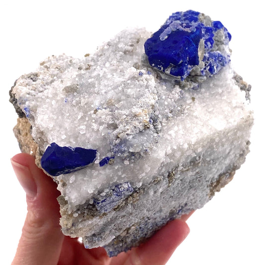 Lazurite & Pyrite on Calcite (Afghanistan), raw lazurite, lazurite crystal, mineral specimen, lapis lazuli crystal