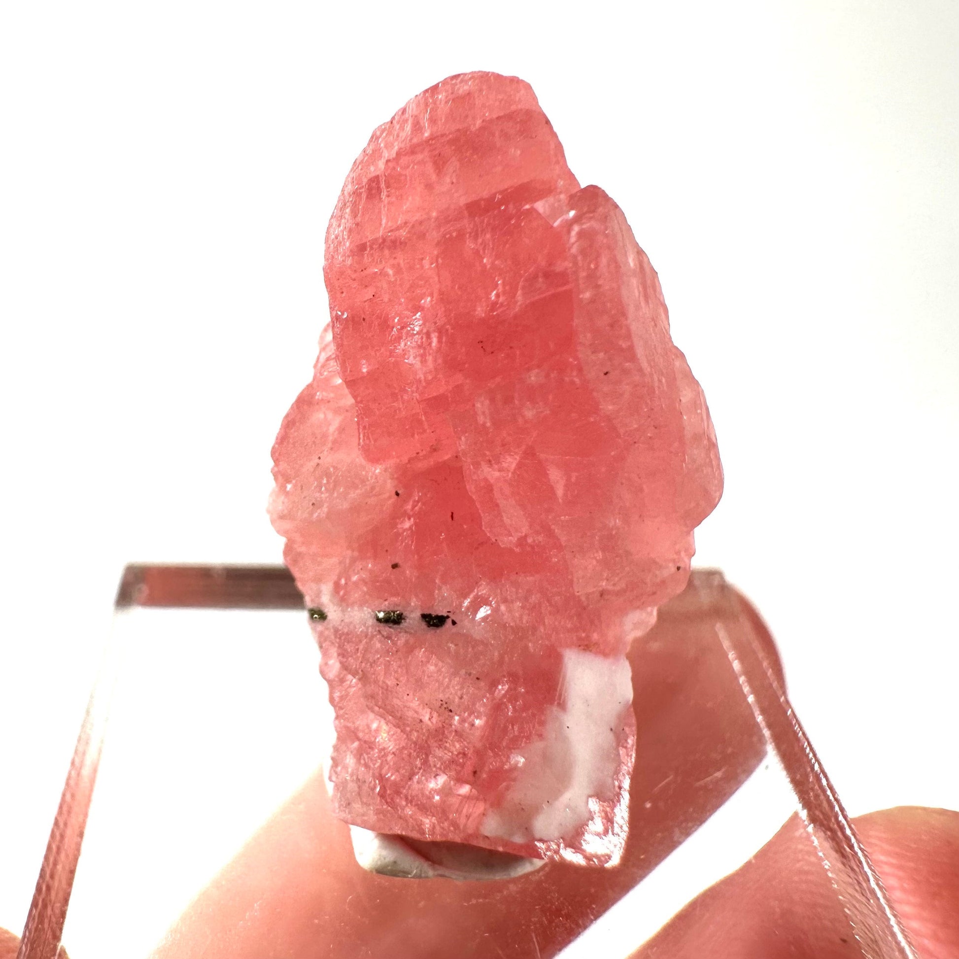 Rhodochrosite (China) | rhodochrosite crystal, rare crystals, mineral specimen, rare minerals, natural rhodochrosite