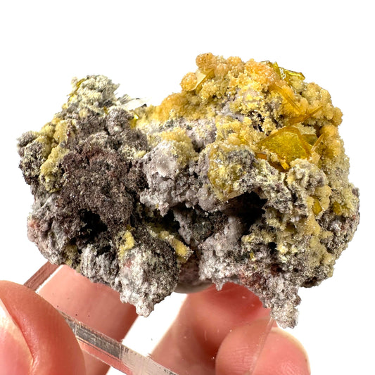 Mimetite & Wulfenite (Mexico), raw wulfenite, yellow mimetite, wulfenite on matrix, mimetite, mineral specimen