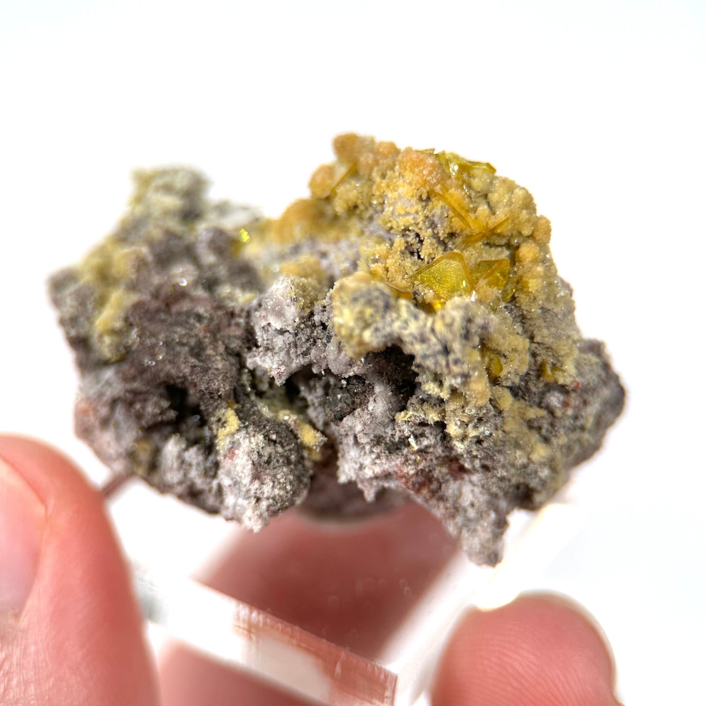 Mimetite & Wulfenite (Mexico), raw wulfenite, yellow mimetite, wulfenite on matrix, mimetite, mineral specimen