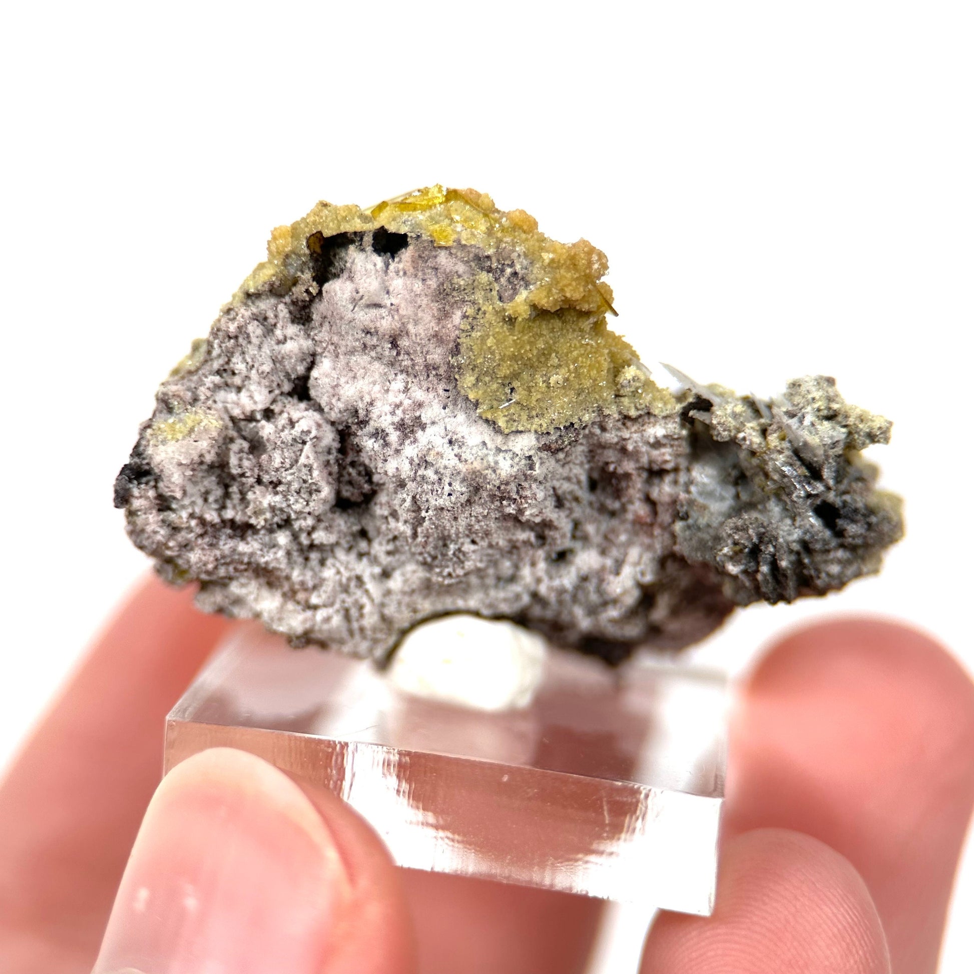 Mimetite & Wulfenite (Mexico), raw wulfenite, yellow mimetite, wulfenite on matrix, mimetite, mineral specimen