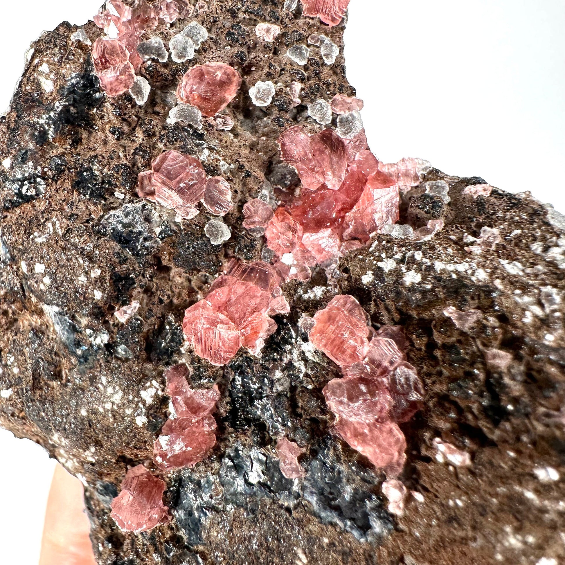 Rhodochrosite on Matrix (Peru) | rhodochrosite crystal, rare crystals, mineral specimen, rare minerals, natural rhodochrosite