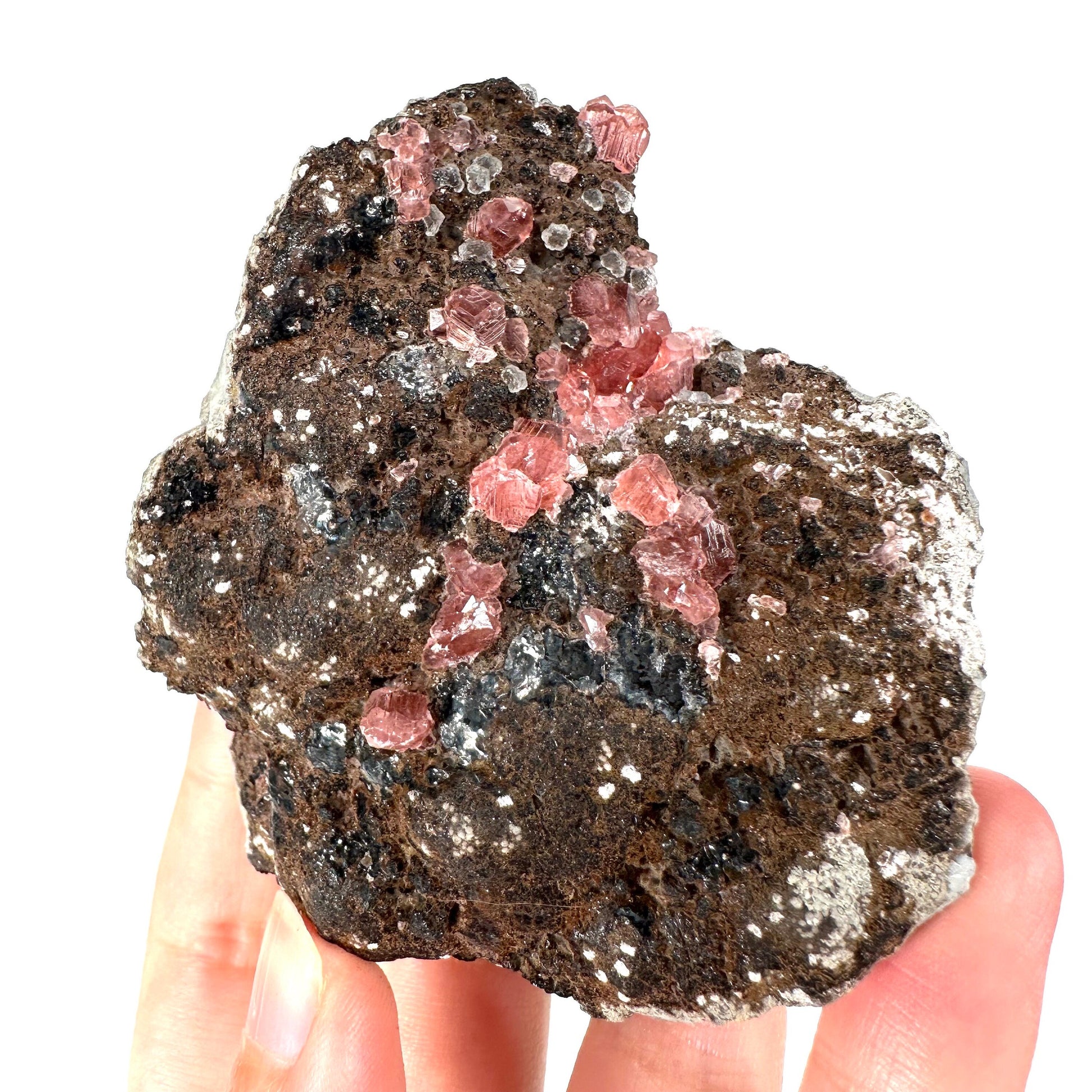 Rhodochrosite on Matrix (Peru) | rhodochrosite crystal, rare crystals, mineral specimen, rare minerals, natural rhodochrosite