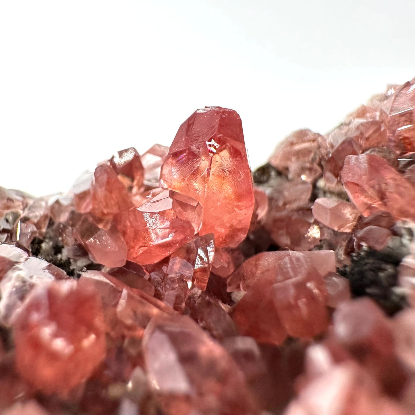 Rhodochrosite on Matrix (Peru) | rhodochrosite crystal, rare crystals, mineral specimen, rare minerals, natural rhodochrosite