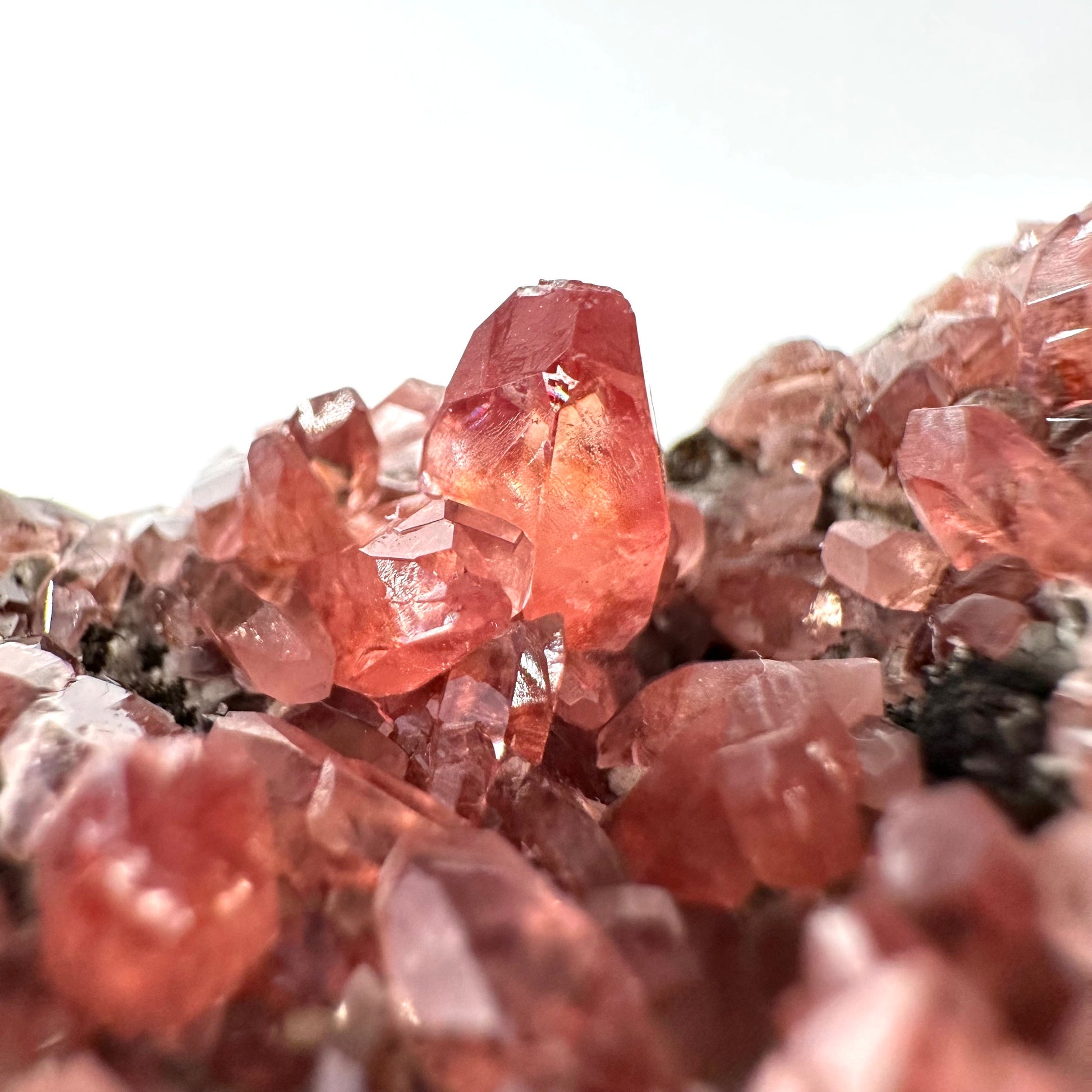 Rhodochrosite on Matrix (Peru) | rhodochrosite crystal, rare crystals, mineral specimen, rare minerals, natural rhodochrosite