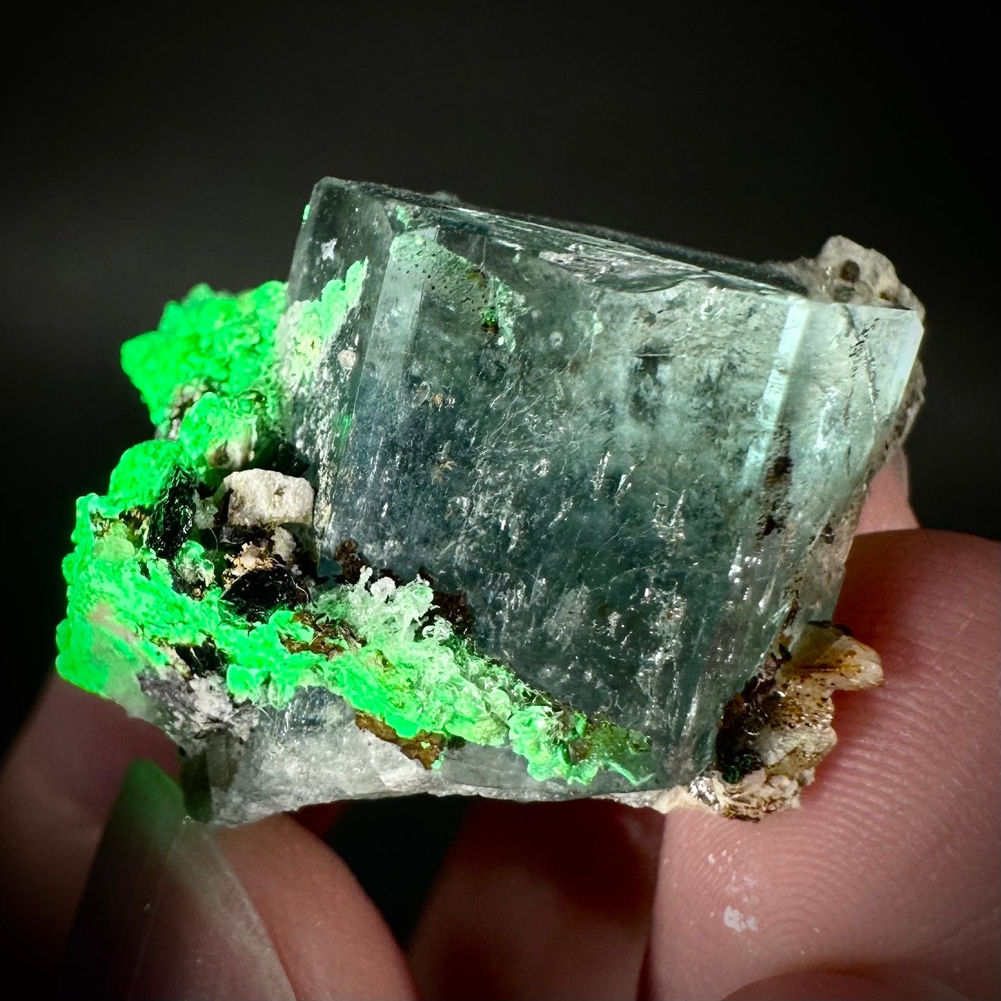 Hyalite Opal on Aquamarine (Namibia), UV reactive hyalite opal, aquamarine crystal, rare minerals, rare crystals, fluorescent crystal