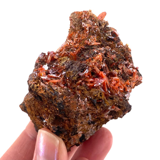 Crocoite Specimen (Australia), raw crocoite, crocoite crystal, orange crocoite, mineral specimen, rare minerals