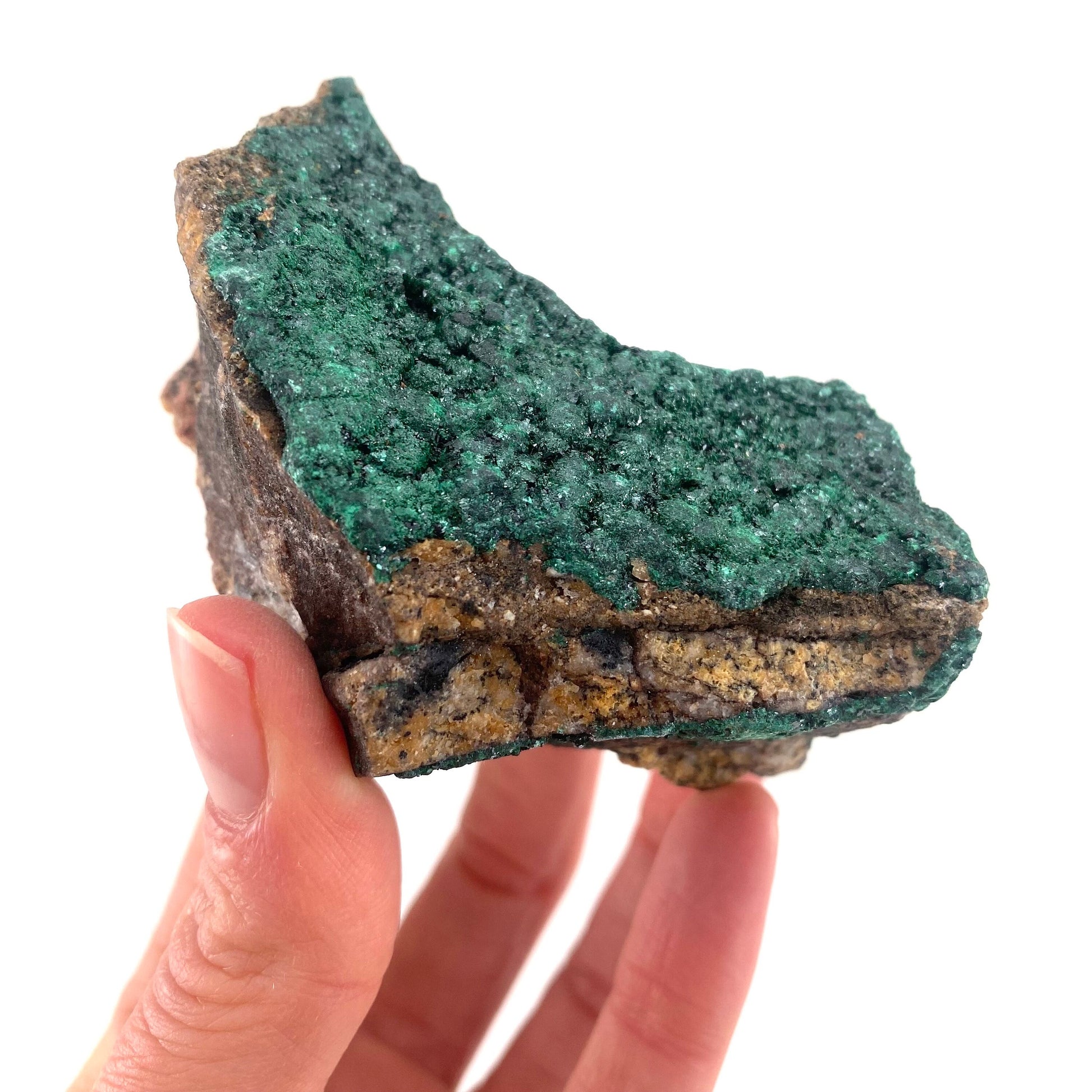 Extra Sparkly Botryoidal Malachite Specimen, natural malachite, raw malachite, crystals