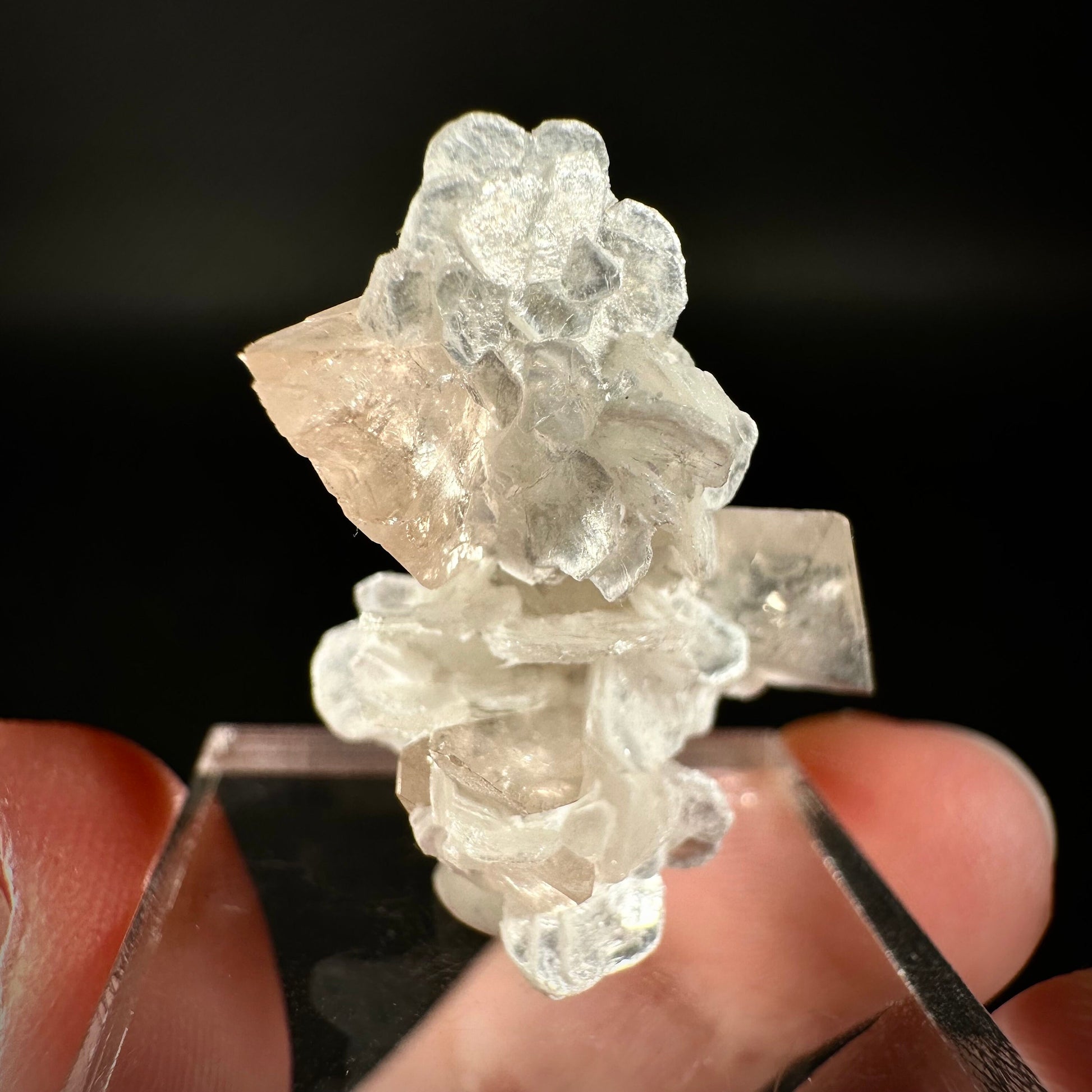 Champagne Topaz on Albite Matrix (Pakistan) | topaz crystal, rare crystals, mineral specimen, rare minerals, natural topaz, golden topaz