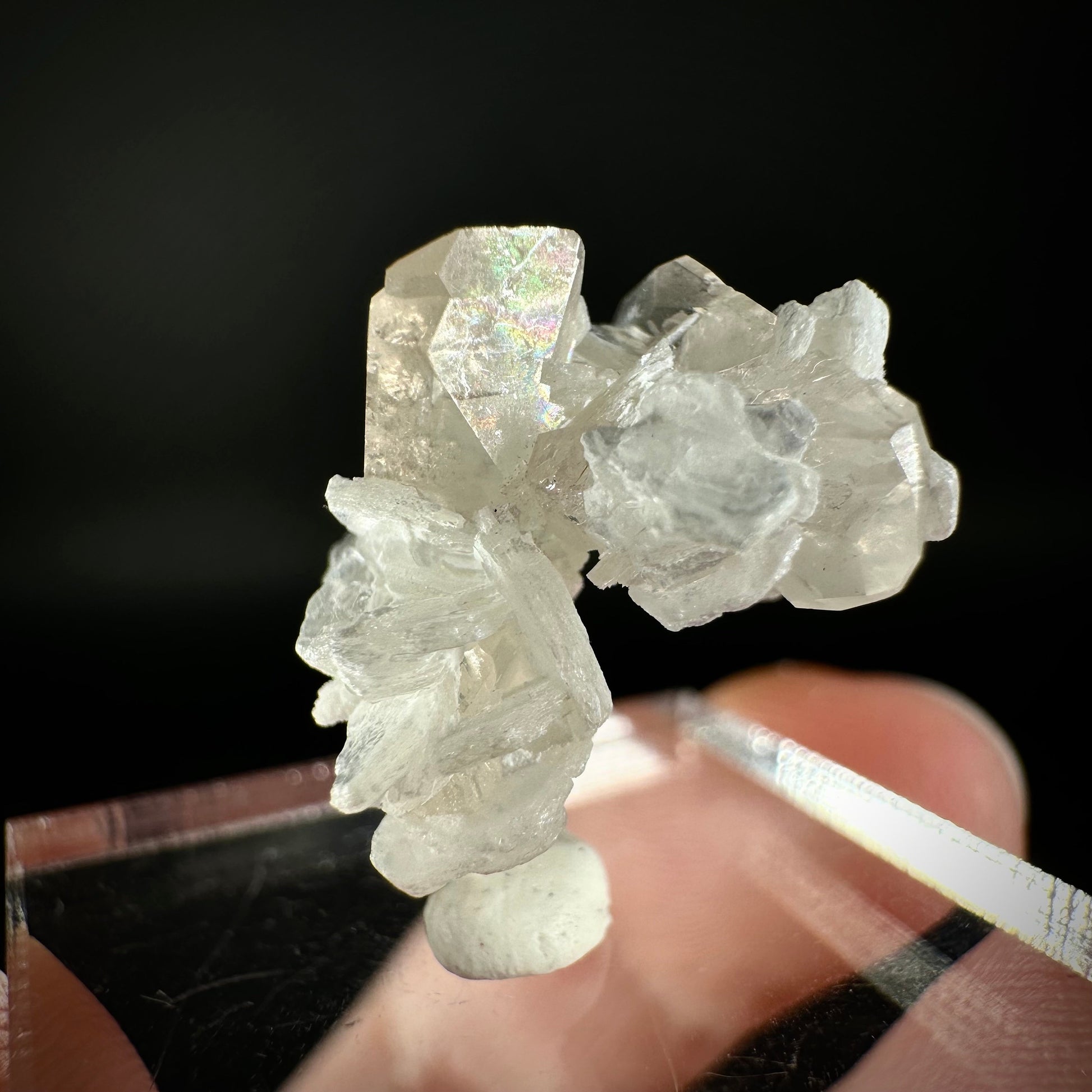 Champagne Topaz on Albite Matrix (Pakistan) | topaz crystal, rare crystals, mineral specimen, rare minerals, natural topaz, golden topaz