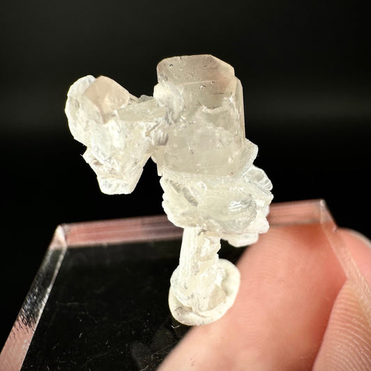 Champagne Topaz on Albite Matrix (Pakistan) | topaz crystal, rare crystals, mineral specimen, rare minerals, natural topaz, golden topaz