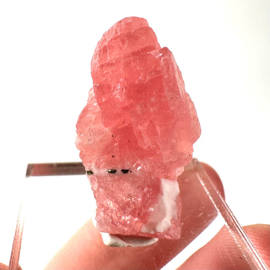 Rhodochrosite (China) | rhodochrosite crystal, rare crystals, mineral specimen, rare minerals, natural rhodochrosite