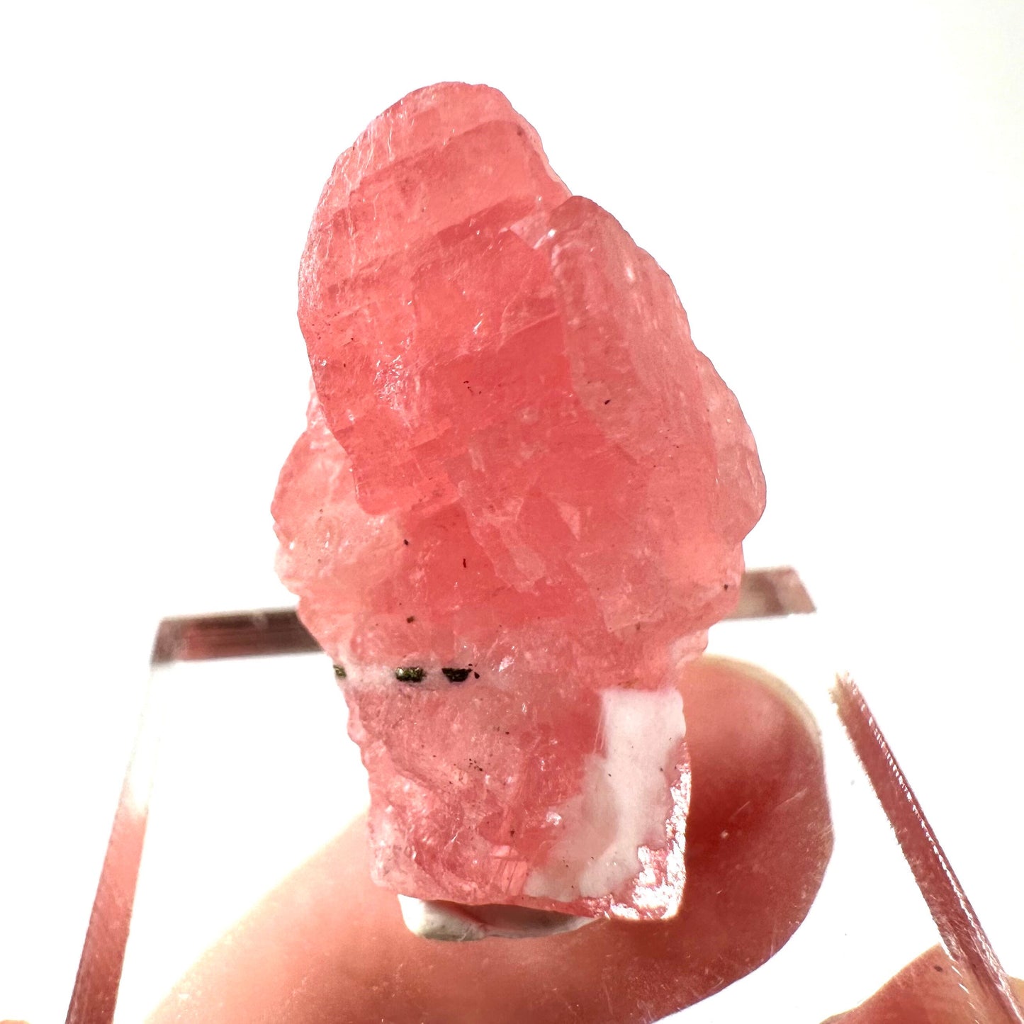 Rhodochrosite (China) | rhodochrosite crystal, rare crystals, mineral specimen, rare minerals, natural rhodochrosite