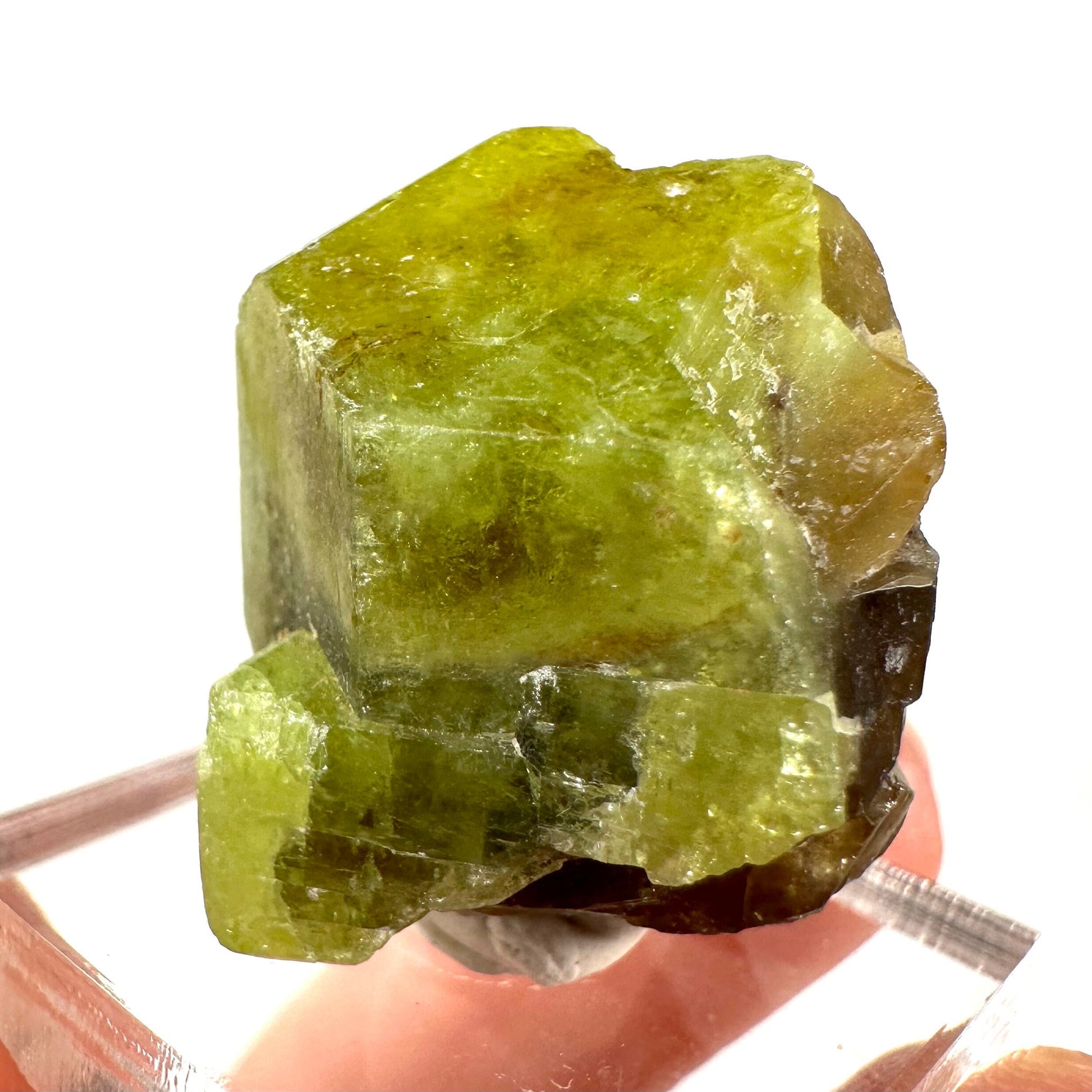 Andradite-Grossular Garnet (Mali) | green garnet, raw garnet crystal, grossular garnet crystal, raw green garnet, mineral specimen, crystals