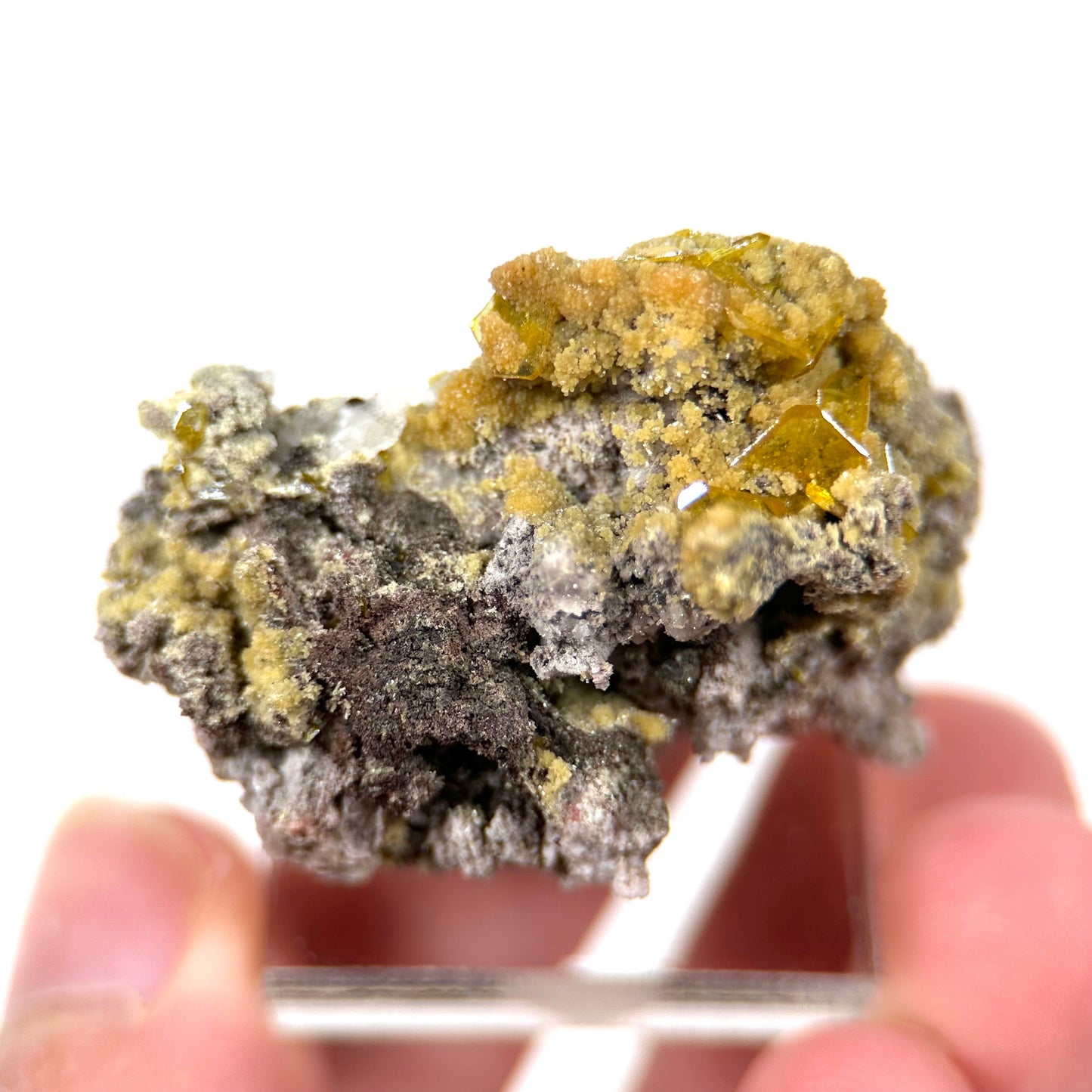 Mimetite & Wulfenite (Mexico), raw wulfenite, yellow mimetite, wulfenite on matrix, mimetite, mineral specimen