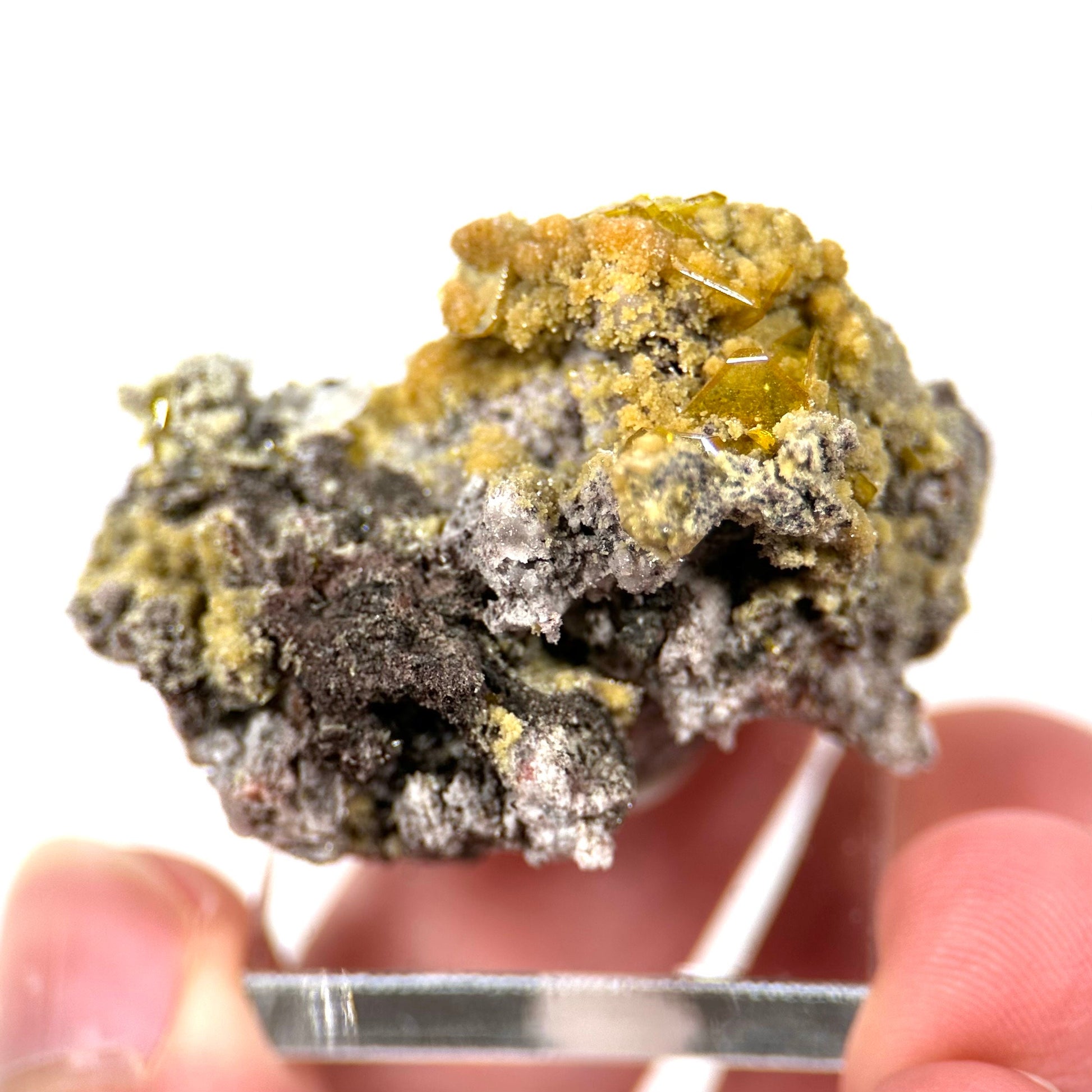 Mimetite & Wulfenite (Mexico), raw wulfenite, yellow mimetite, wulfenite on matrix, mimetite, mineral specimen