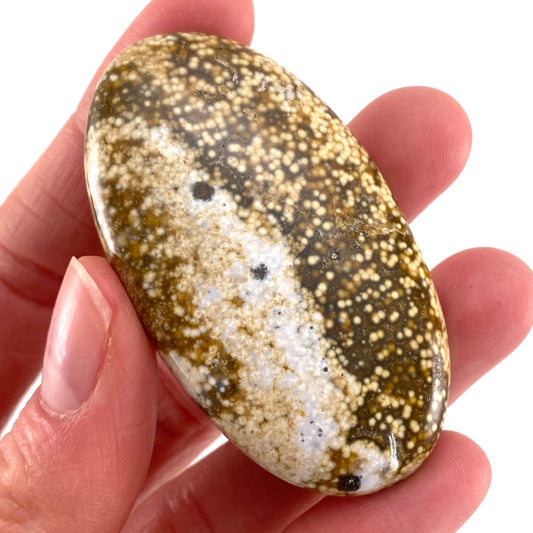 Ocean Jasper Cabochon, crystal cabochon, ocean jasper, gemstone cabochon, orbicular jasper, orbicular jasper cabochon