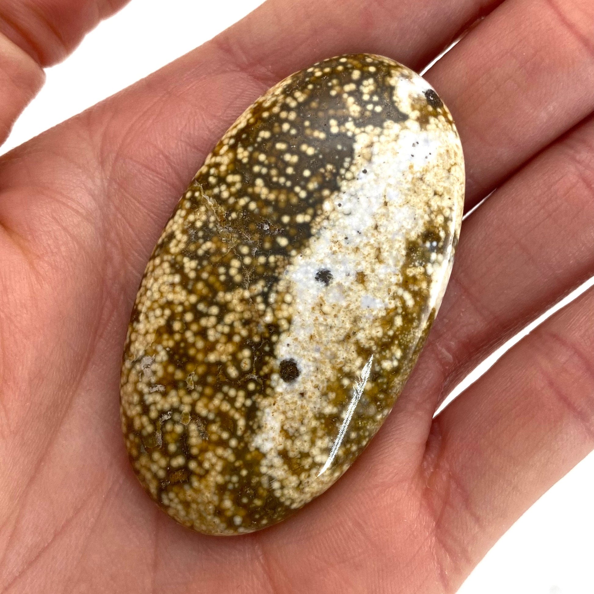 Ocean Jasper Cabochon, crystal cabochon, ocean jasper, gemstone cabochon, orbicular jasper, orbicular jasper cabochon