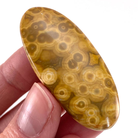 Ocean Jasper Cabochon, crystal cabochon, ocean jasper, gemstone cabochon, orbicular jasper, orbicular jasper cabochon