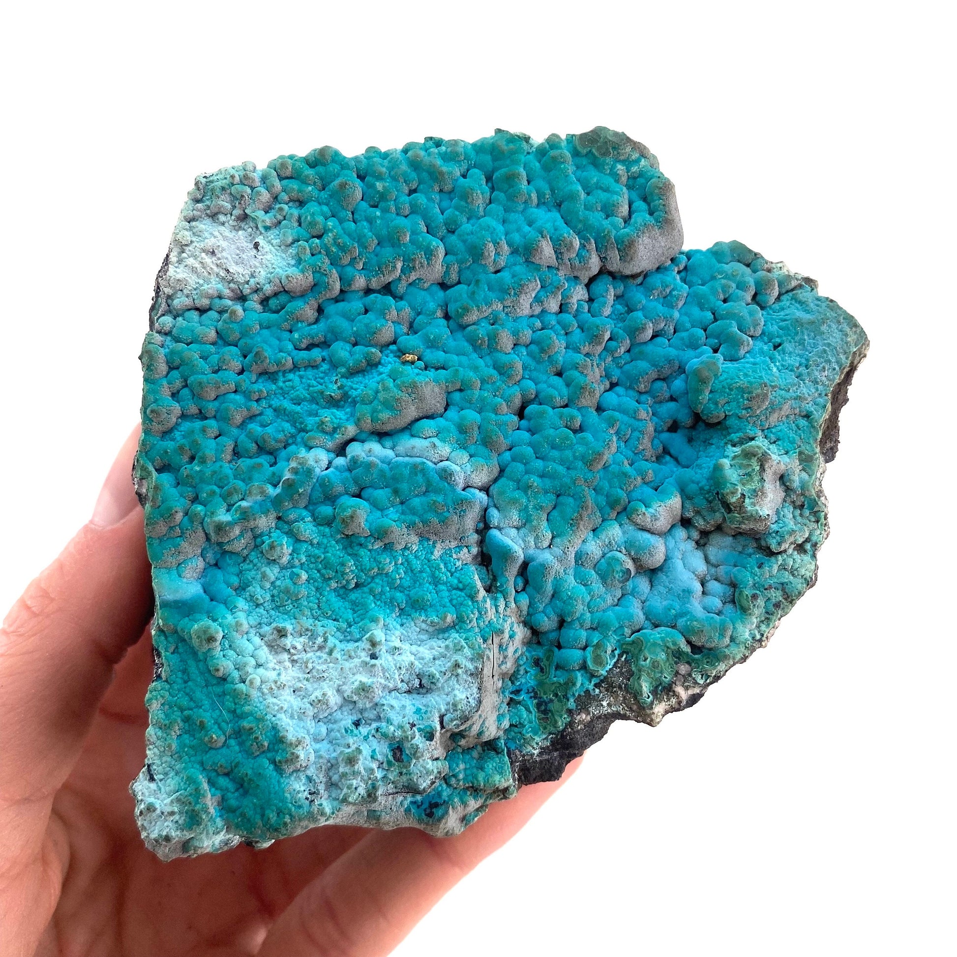Botryoidal Chrysocolla on Malachite Specimen (Congo), raw chrysocolla, raw malachite, mineral specimen