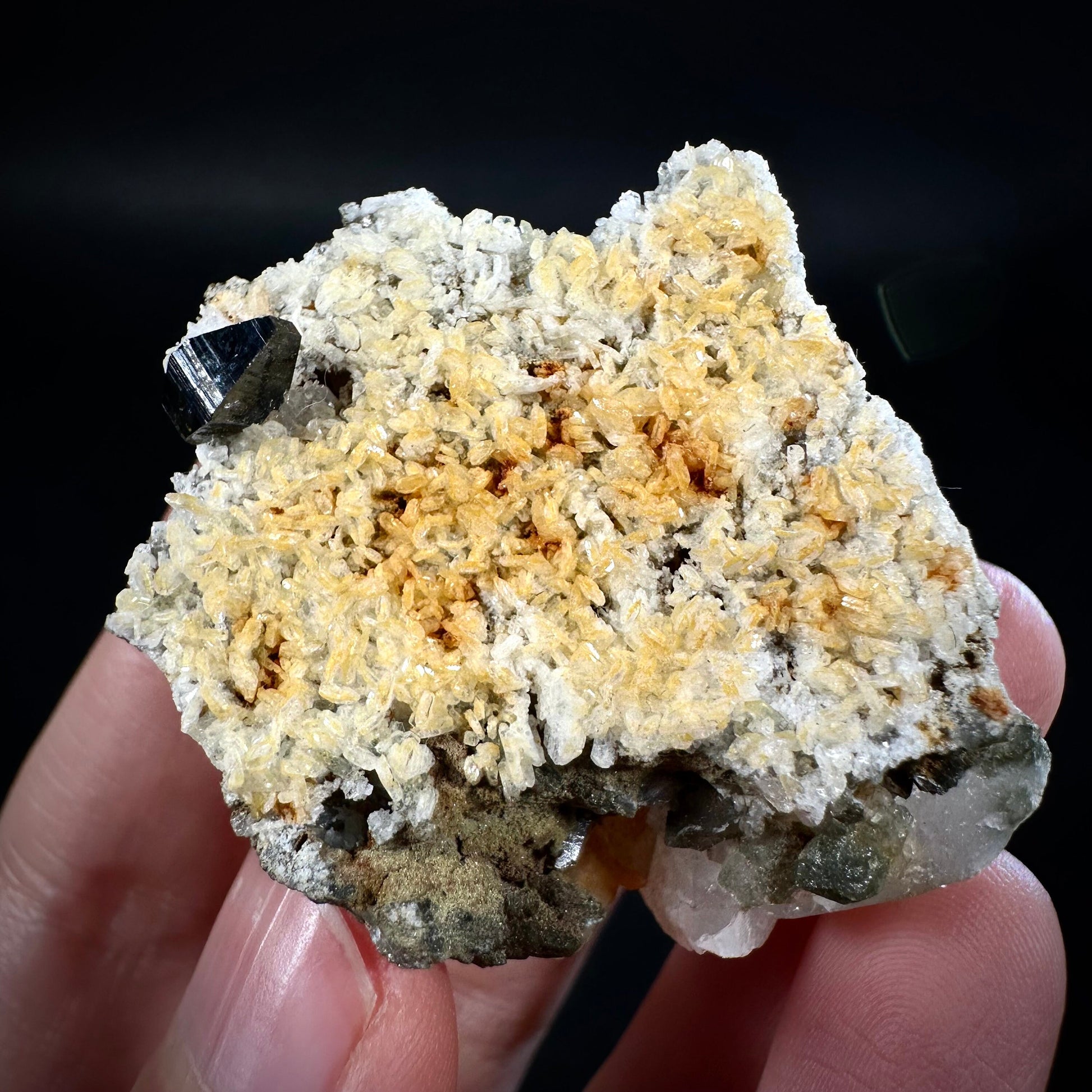 Anatase on Matrix (Pakistan), anatase crystal, terminated anatase, mineral specimen, rare gems