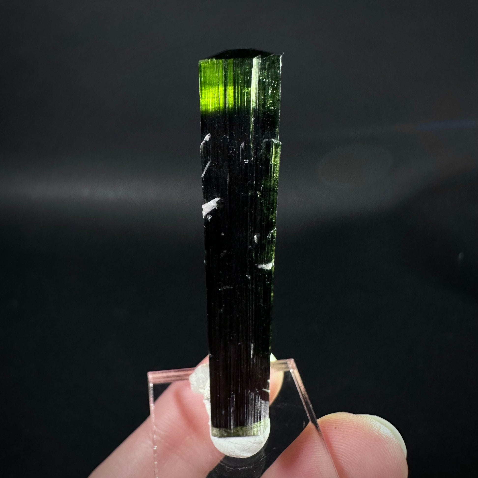 Green Cap Tourmaline with Albite (Pakistan) | raw tourmaline, green tourmaline, tourmaline crystal, rare minerals, rare crystals