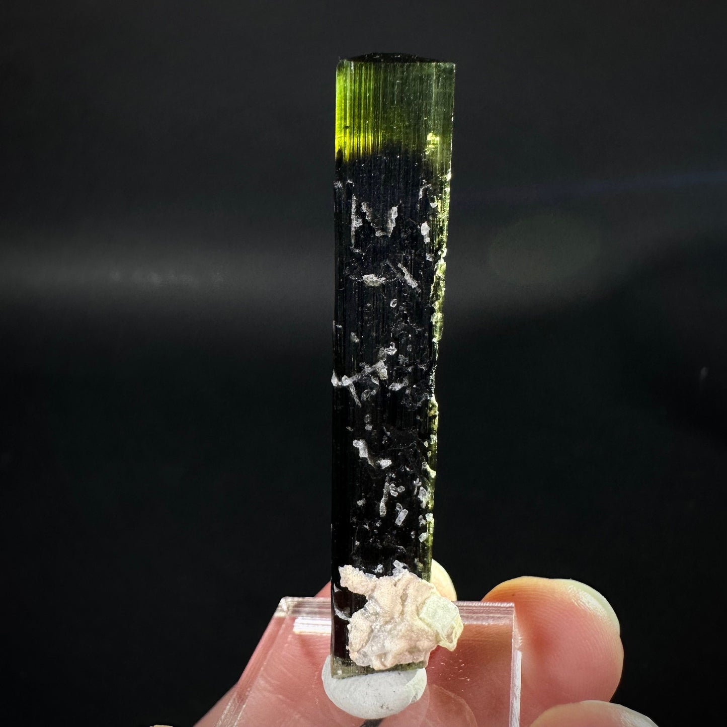 Green Cap Tourmaline with Albite (Pakistan) | raw tourmaline, green tourmaline, tourmaline crystal, rare minerals, rare crystals