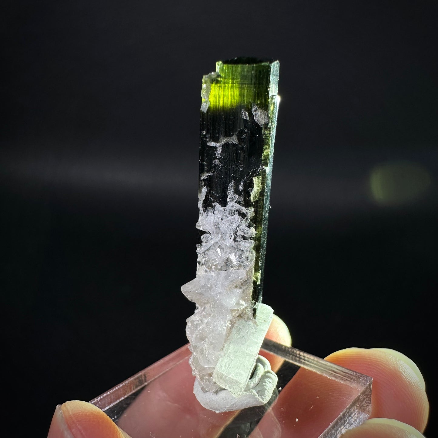 Green Cap Tourmaline with Albite (Pakistan) | raw tourmaline, green tourmaline, tourmaline crystal, rare minerals, rare crystals